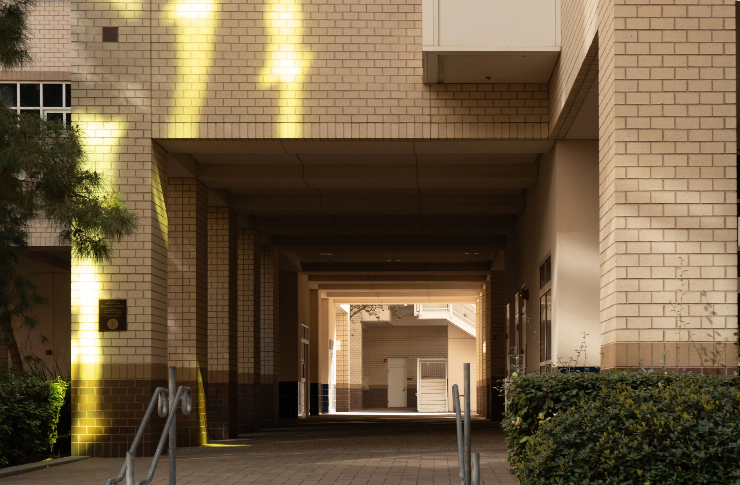 A covered walkway between apartment buildings with brick walls and black tile accents, folding doors, and green bushes on the sides.