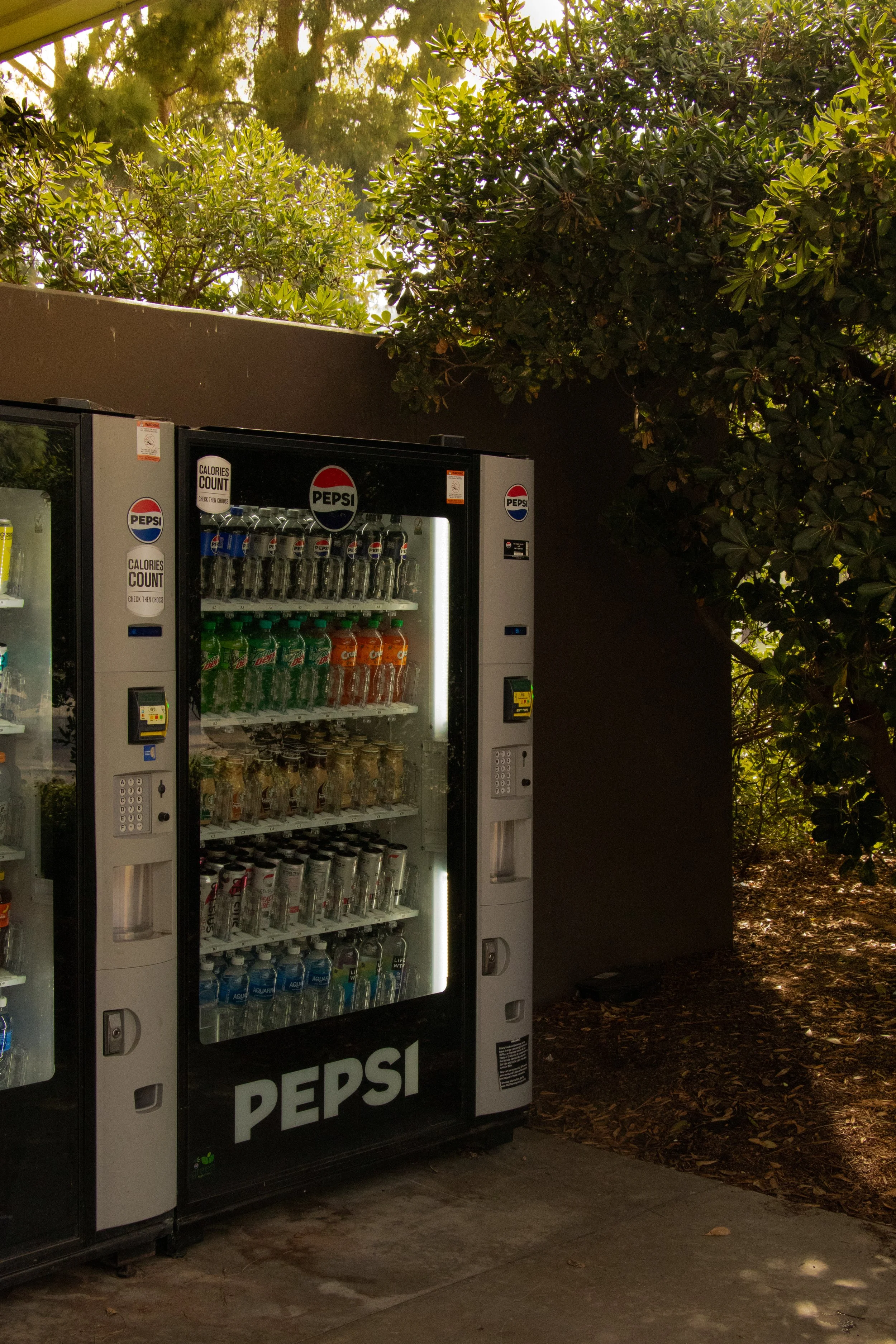 A vending machine filled with bottled drinks such as Pepsi and Mountain Dew outside among trees and bushes.