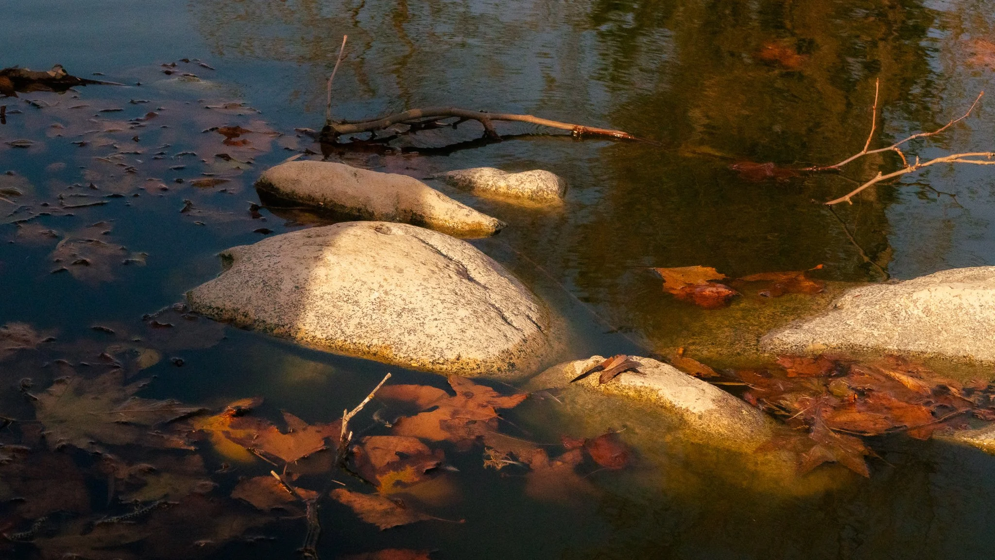 River with rocks and fallen autumn leaves, some leaves are submerged, on a calm water surface reflecting trees and sky.