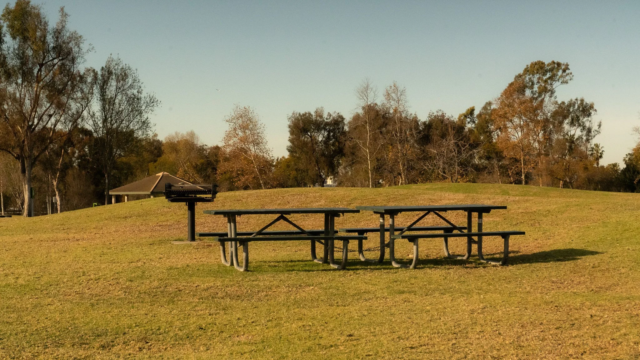 A park with a picnic table and a grill under a clear sky, surrounded by trees with autumn leaves.