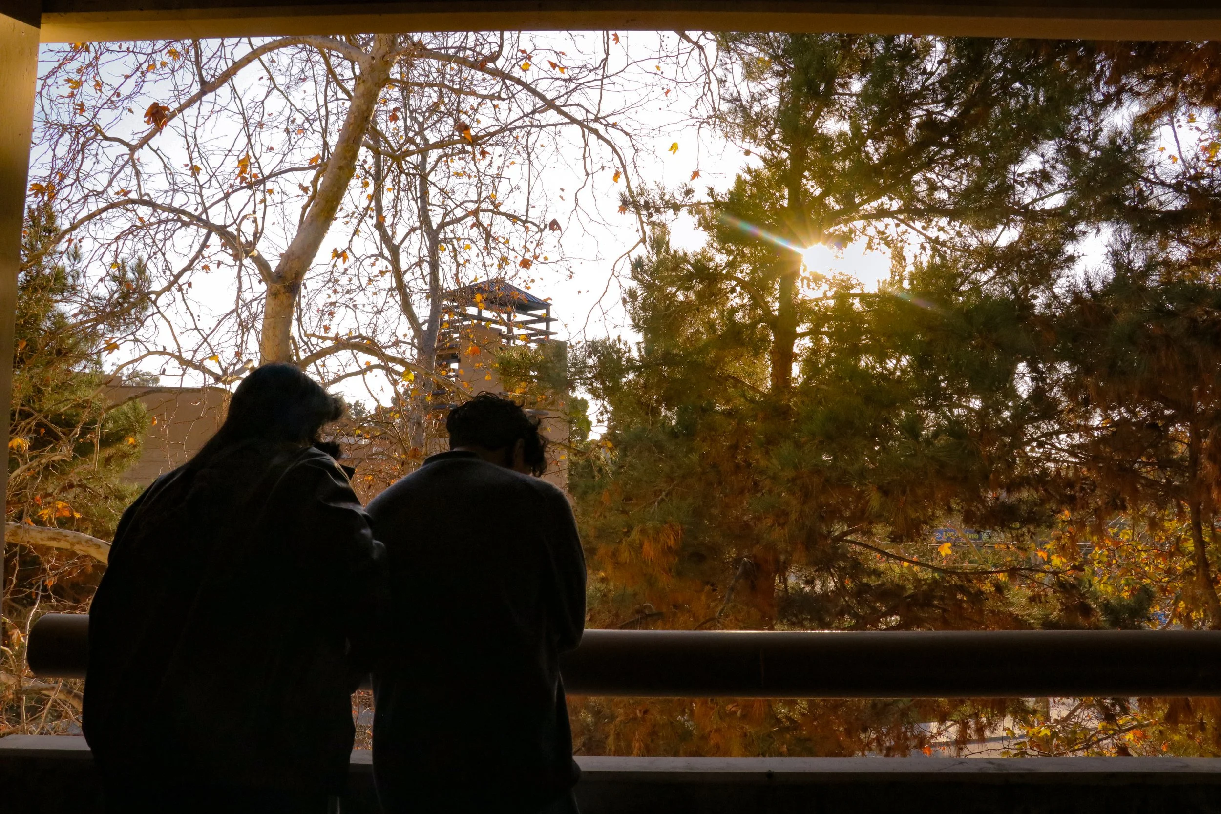 Two people standing on a balcony, silhouetted against trees with autumn leaves and the sun shining through the branches