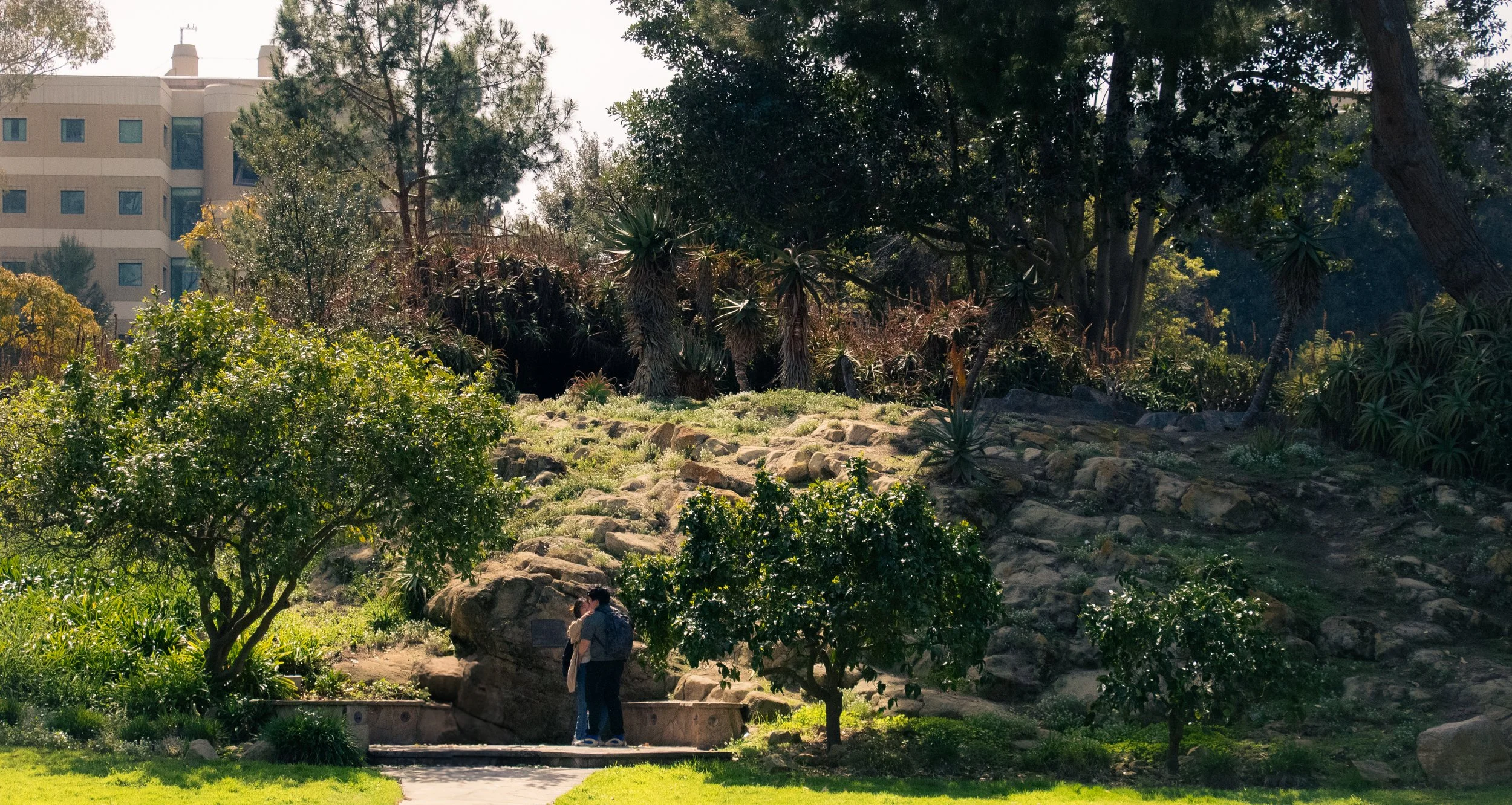 A park with a rocky hill covered in sparse grass and bushes, and several trees including a large shrub and smaller plants. Two people are standing near the base of the hill, talking. A building with multiple windows is visible in the background, and 