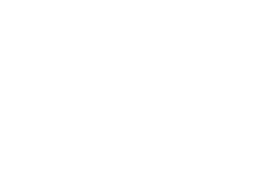 DPS-logo-white.png