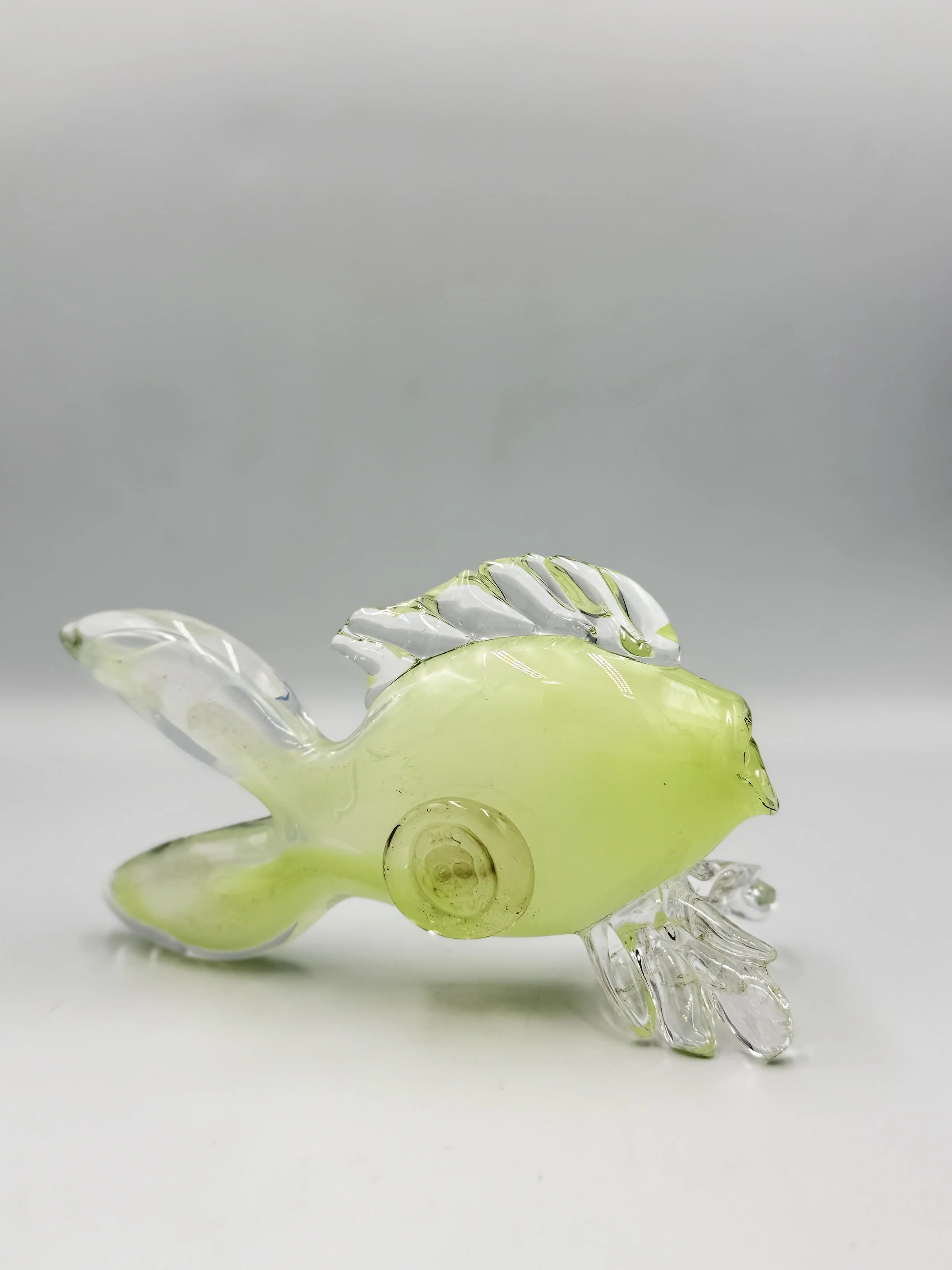 light green fish in daylight