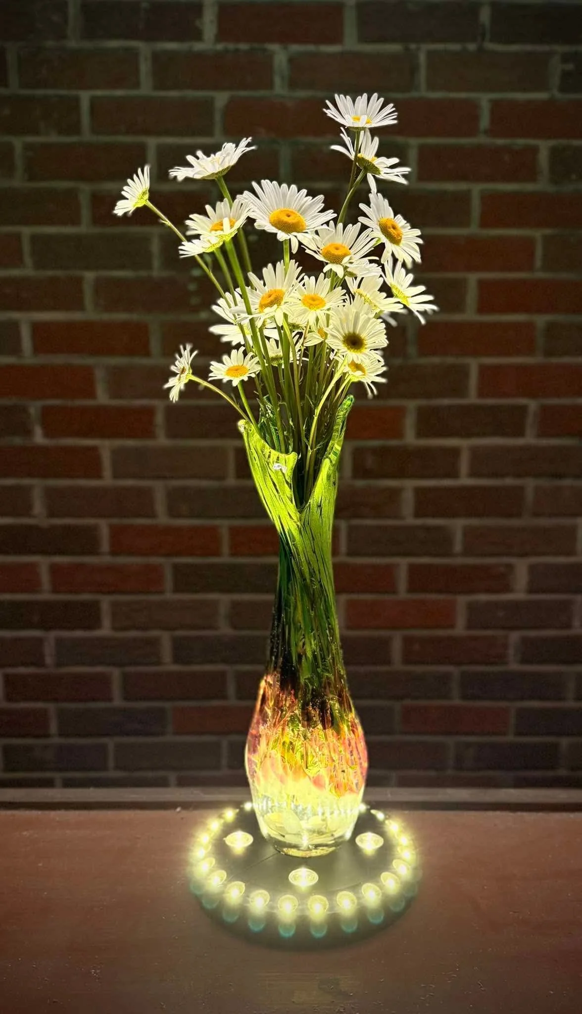 ivory purple and green flower vase lit from below and containing white field daisies