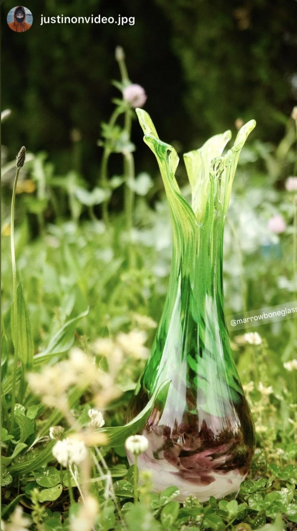 a ramp vase in a field of wildflowers and dandelions