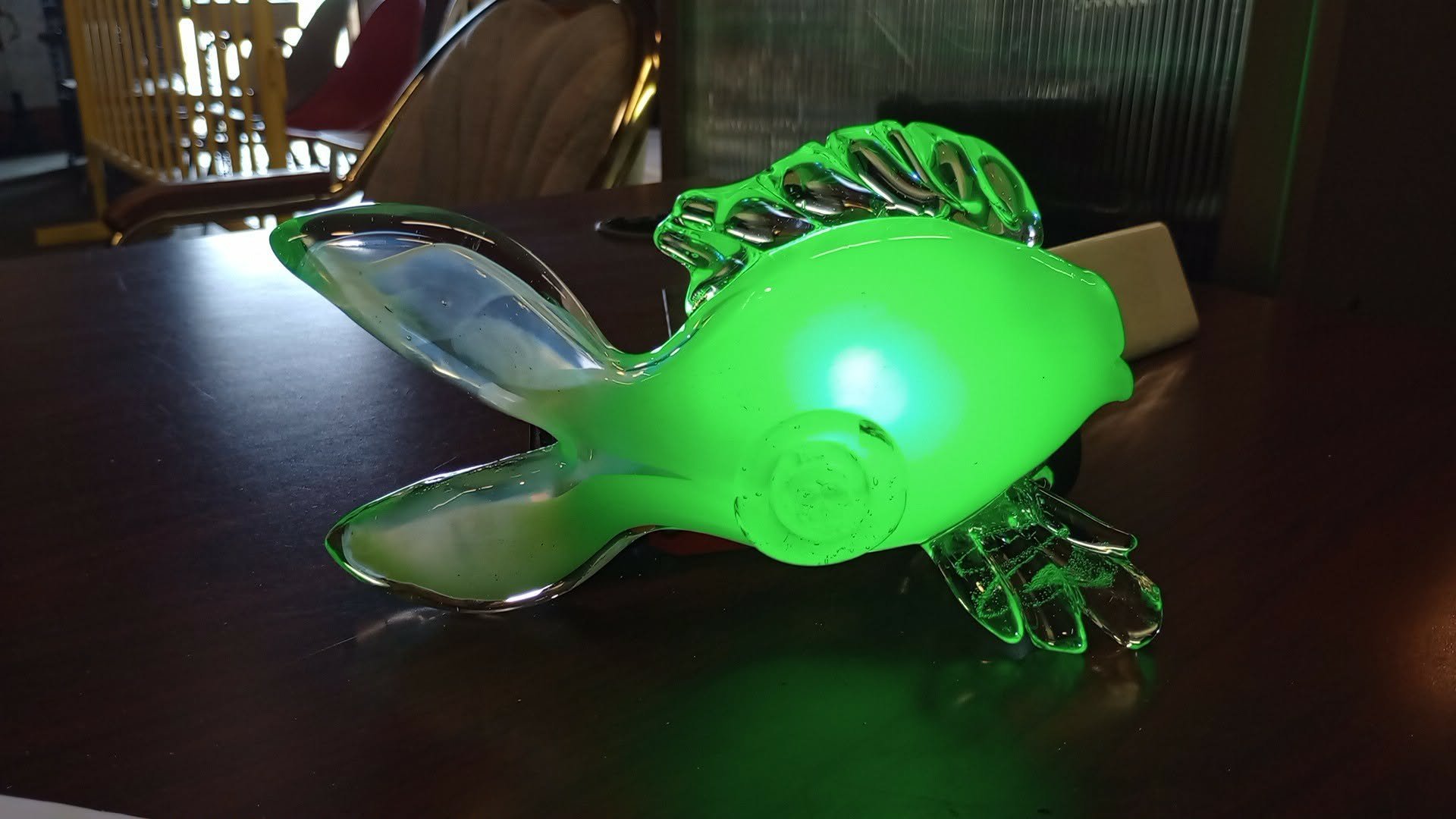 glass fish glowing green under black light