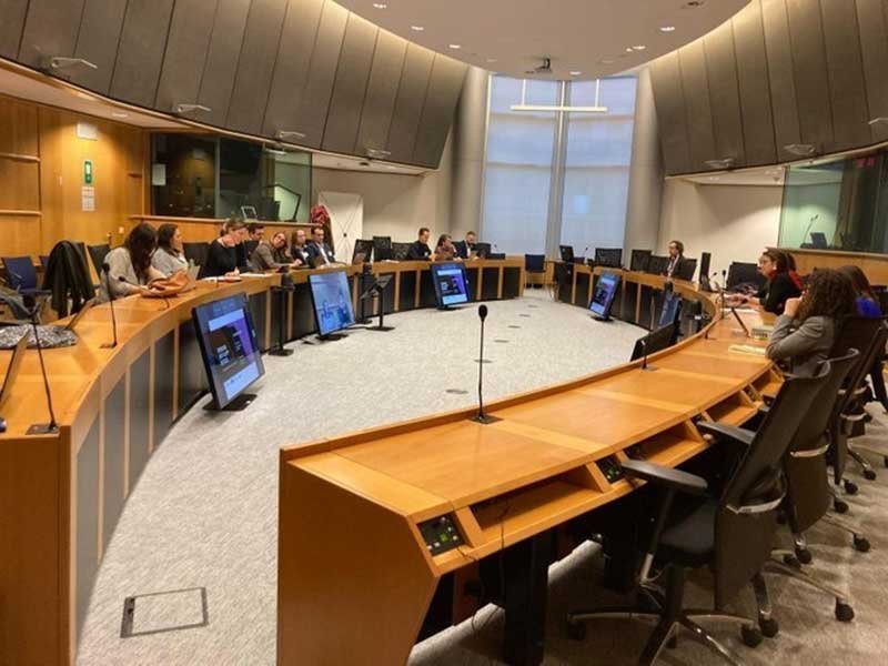 „Unverzichtbare“ Arbeit von PATFox im Europäischen Parlament gewürdigt