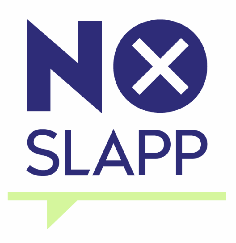 Stellungnahme zum Regierungsentwurf eines deutschen Anti-SLAPP-Gesetzes