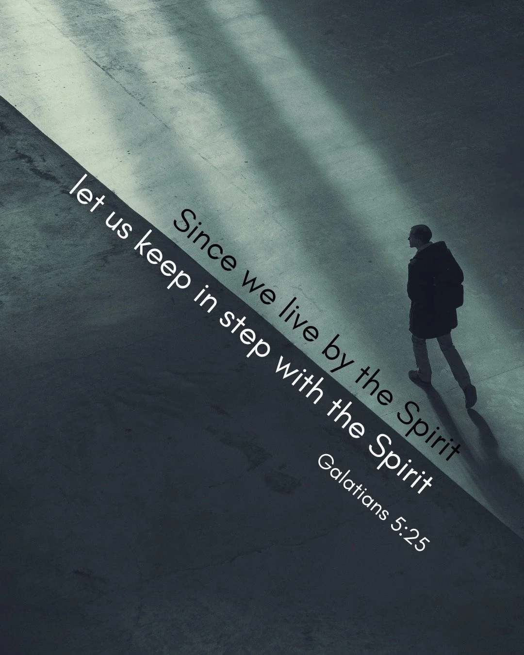 Continuing to reflect on Galatians 5...
https://www.trinitybangor.org.uk/exploring