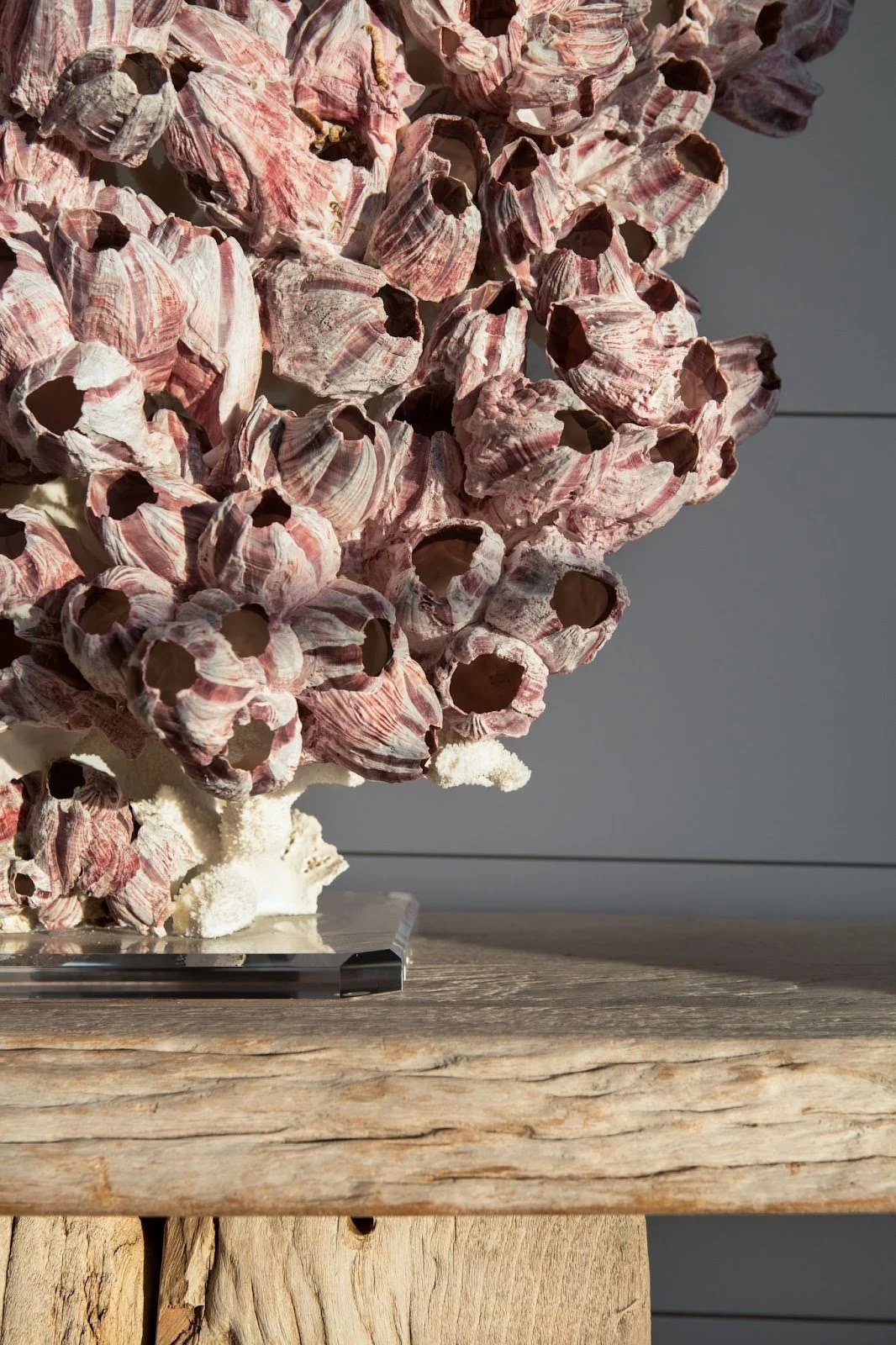 Shiplap, corals, metal&hellip; oh my! A farmhouse by the sea where materials make all the difference. 🐚🌊

📷: Chad Mellon

#AndersLasaterArchitects
#ExceptionalLiving
#LagunaBeachArchitecture
#OrangeCountyHomes
#LuxuryHomeDesign
#TimelessArchitectu