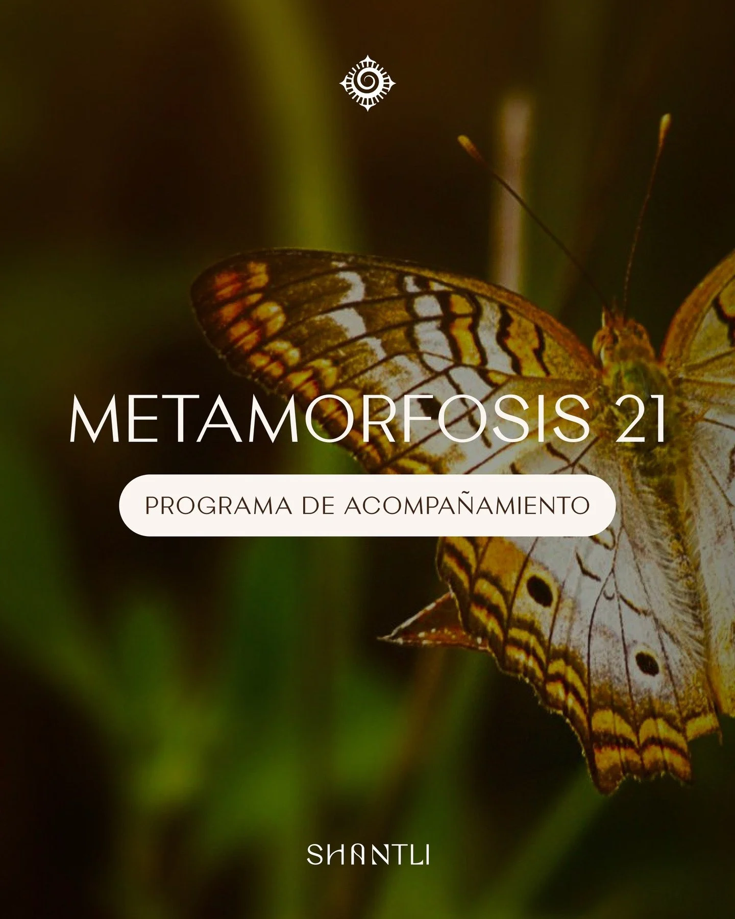 Muchas transformaciones empiezan en silencio: una decisi&oacute;n &iacute;ntima y honesta &ldquo;quiero cambiar&rdquo;, &ldquo;quiero sentirme mejor&rdquo;, este es el primer paso hacia ti misma ✨.

Metamorfosis 21 es un proceso intensivo y personal 