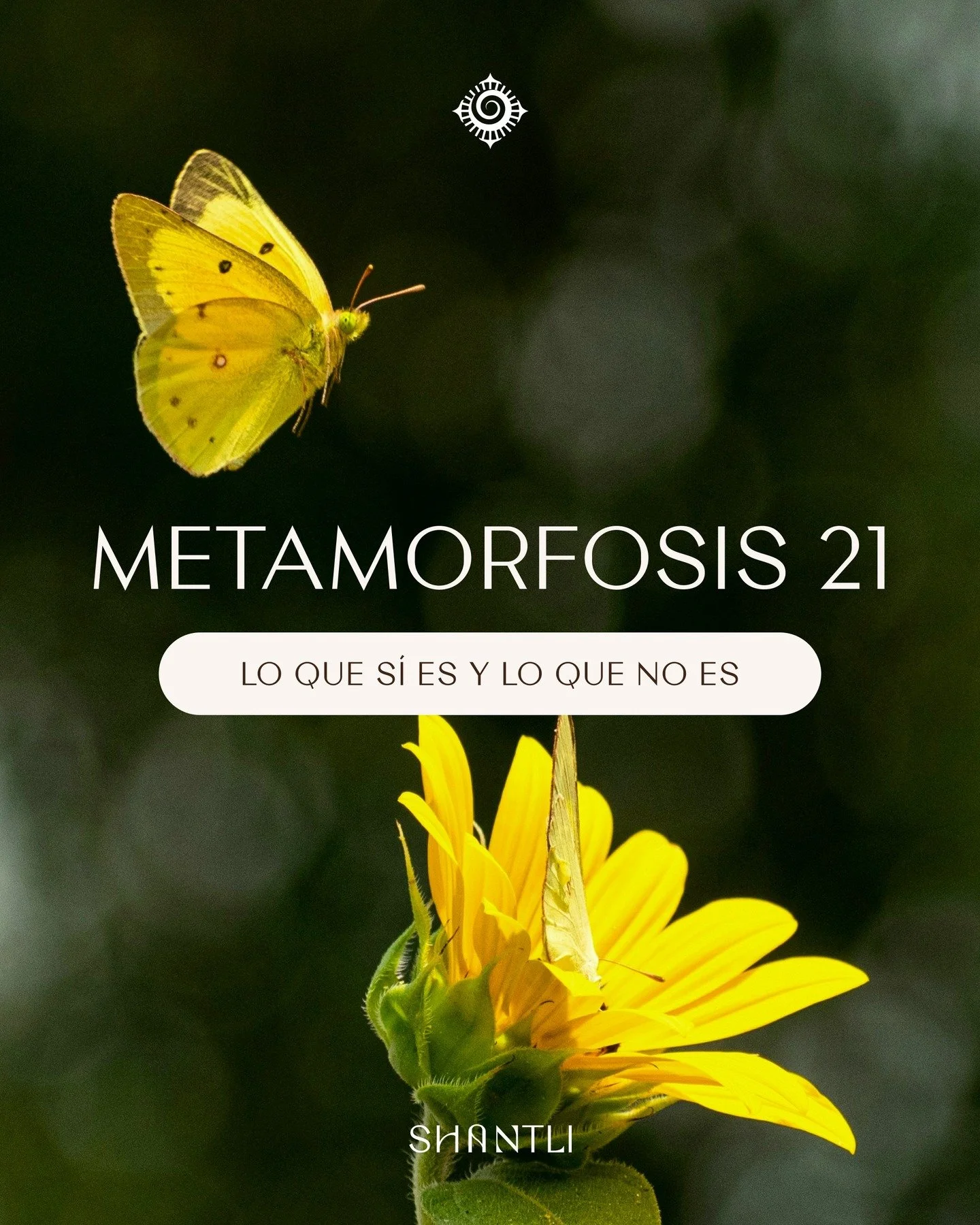 A veces no necesitas otro checklist, necesitas un capullo: ese espacio seguro donde el cambio se haga cuerpo 🦋.

Metamorfosis 21 es un proceso personal y guiado para pasar del &ldquo;lo entiendo&rdquo; al &ldquo;lo habito&rdquo;. Durante 21 d&iacute
