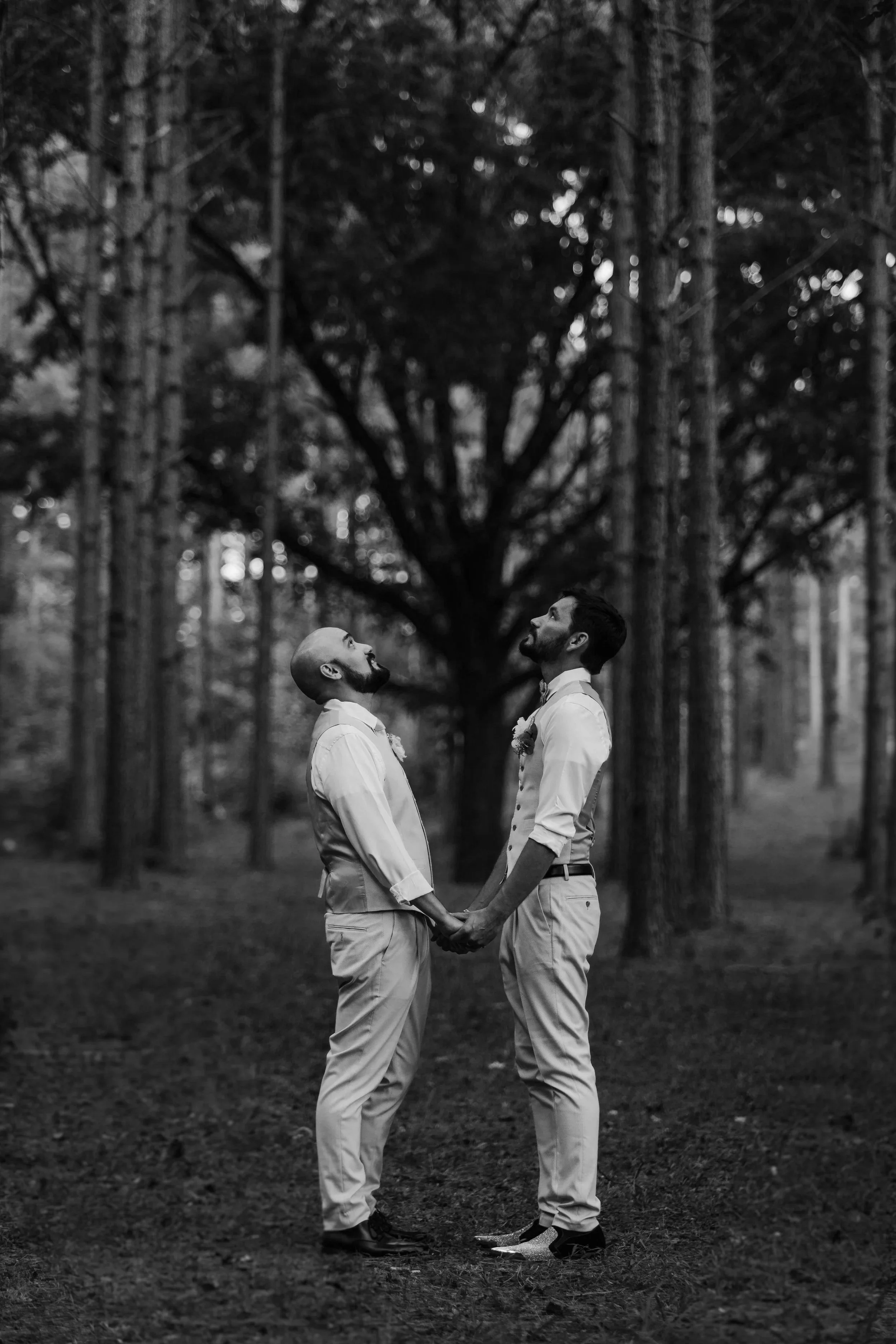 A black-and-white photo of two men in wedding attire holding hands and looking up, standing in a forest with tall trees and a large tree in the background.