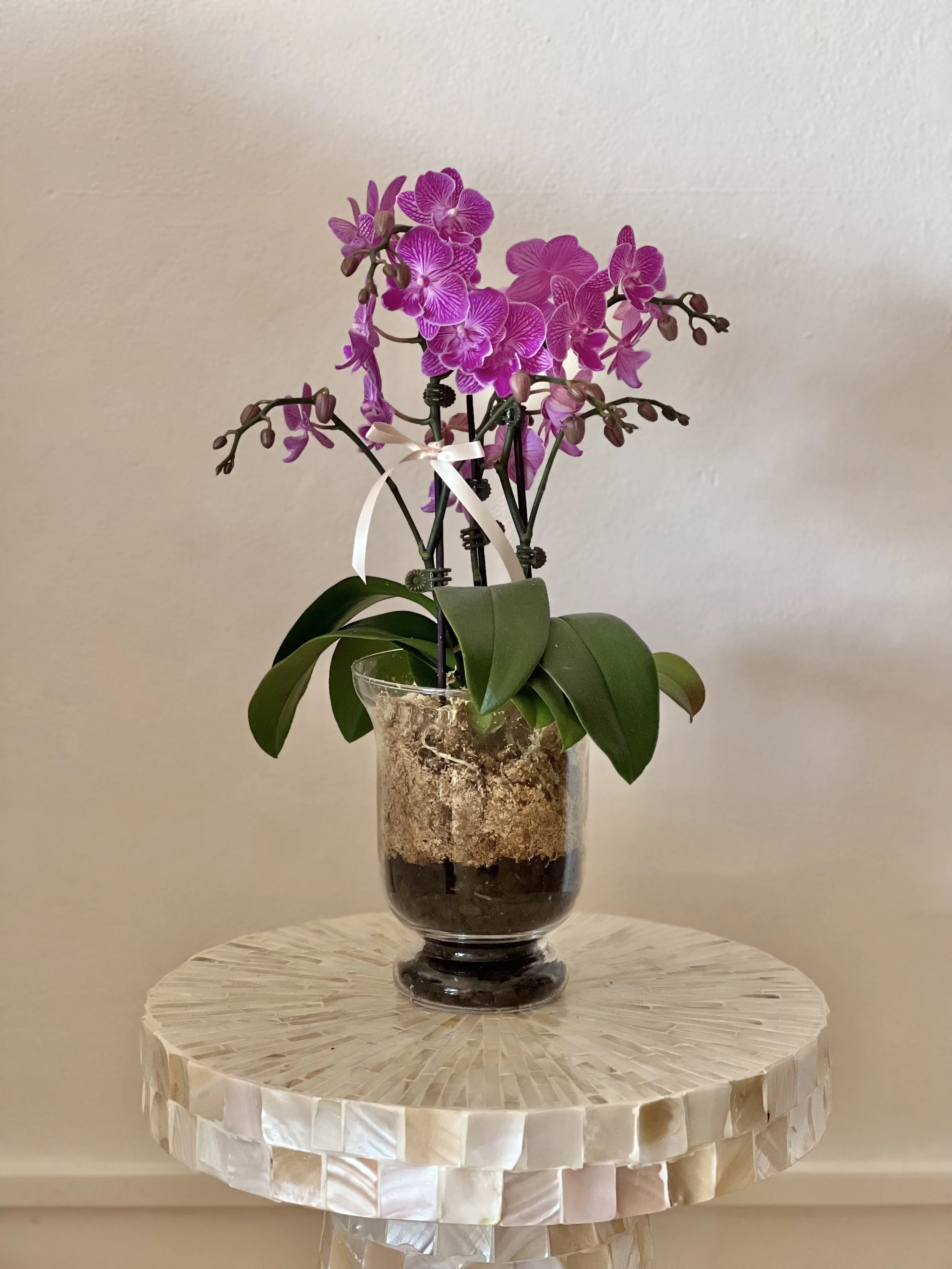 Pink orchid plant in a glass pot on a round white mosaic table.