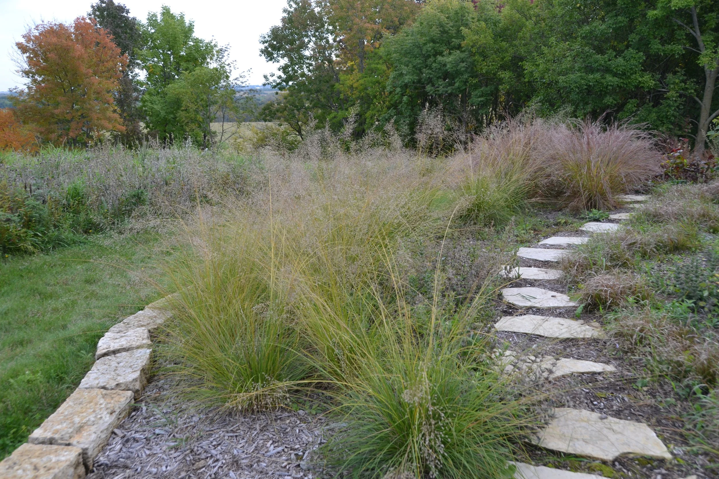 Landscape Design | Graminoids + Stone