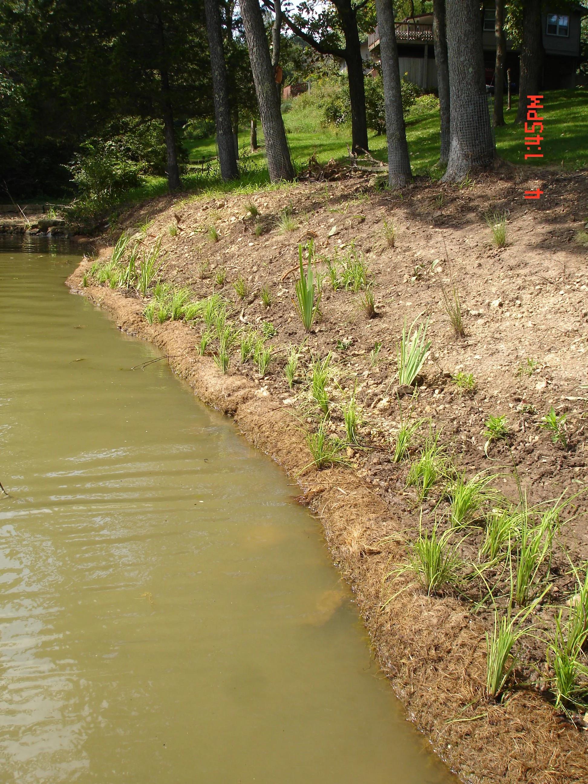 Bio-Engineered Erosion Design