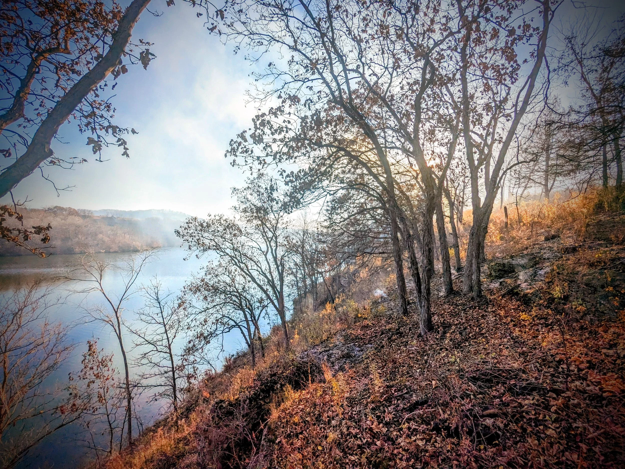 Oak Savanna Restoration