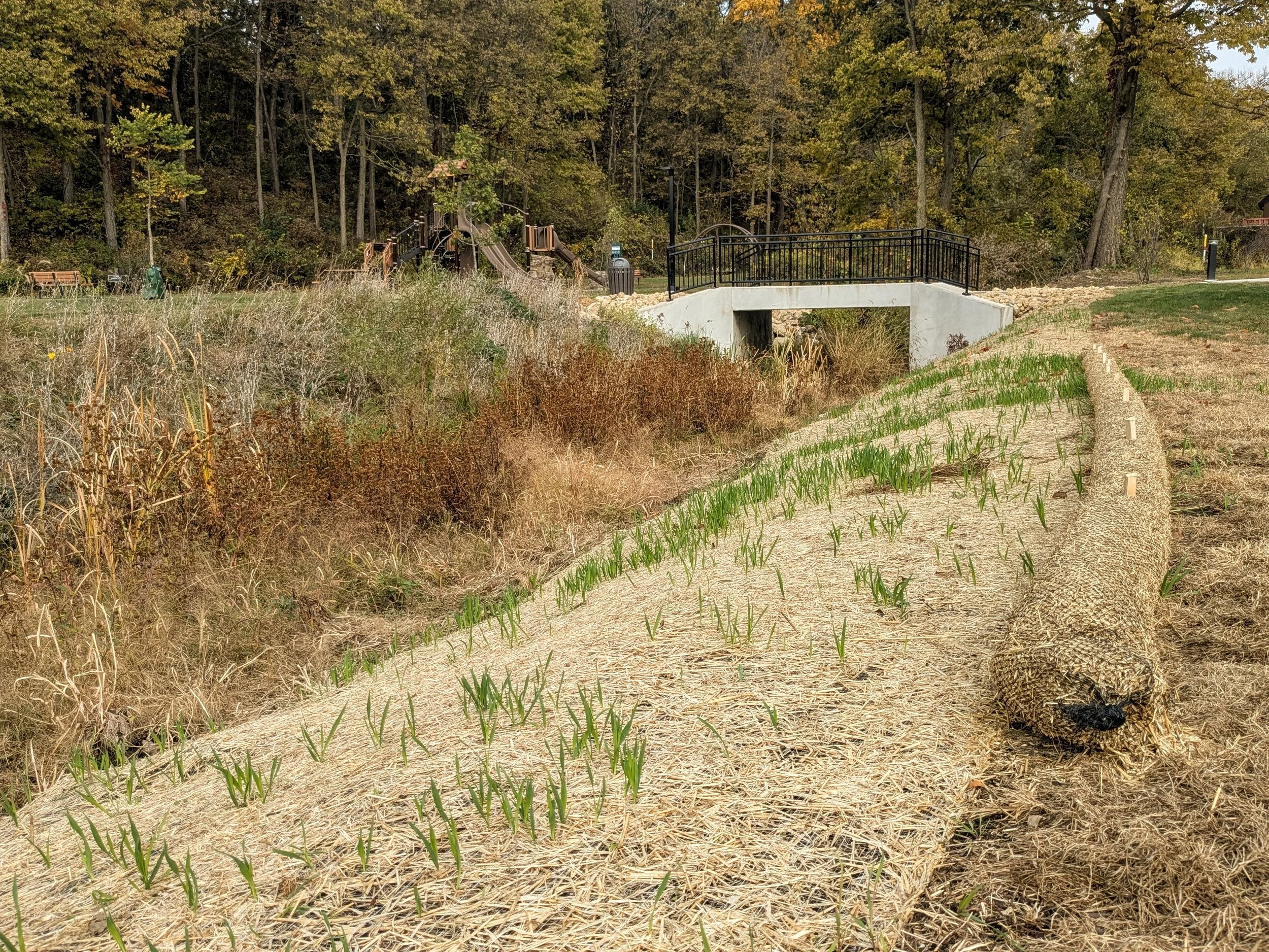 Bio-Engineered Erosion Control