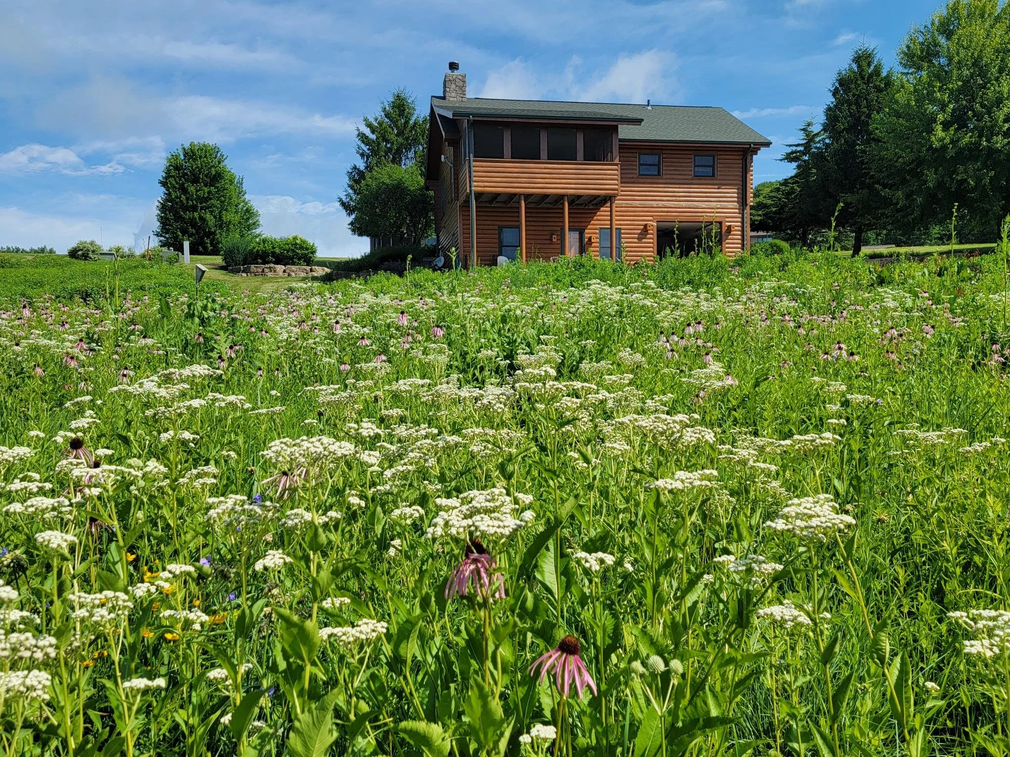 Residential Prairies