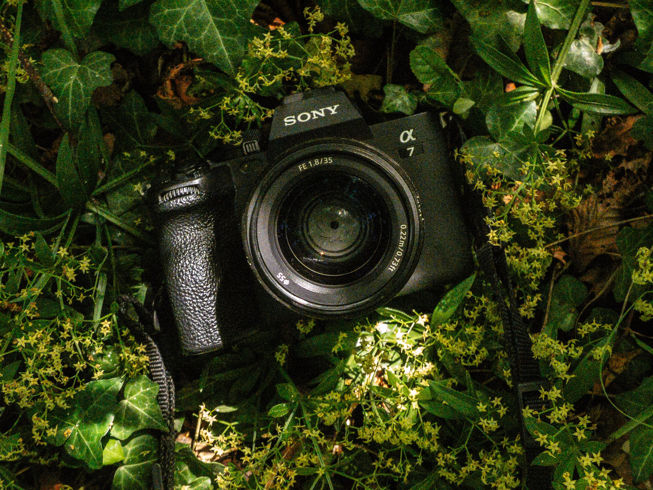 Wie verdienst du als Fotografin Geld? 10 Wege, die dir einnahmen bringen.