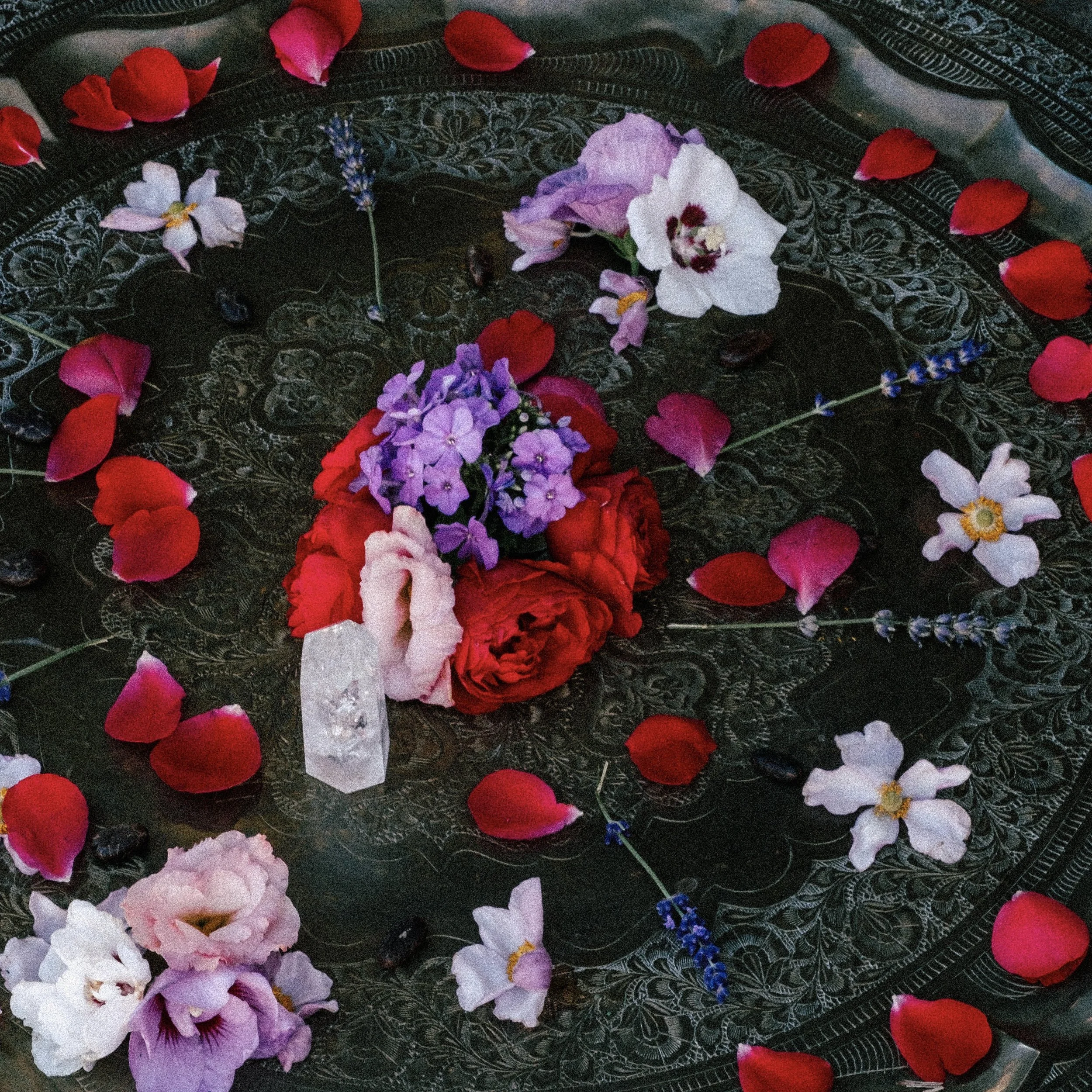 02-09-2023-Love Celebration-9510.jpg