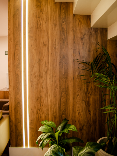 Foto_LUXLINE-5.png