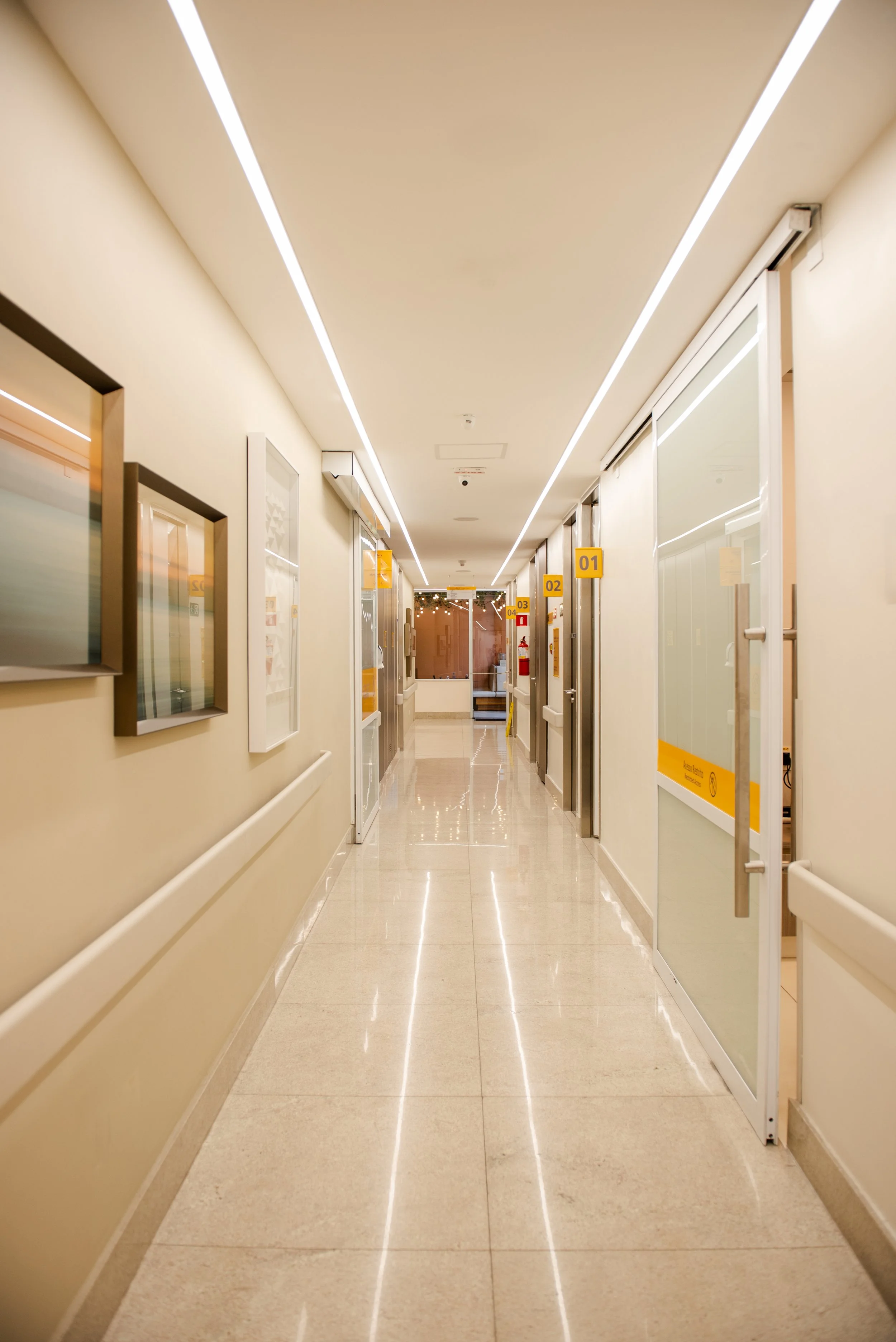 ambientação luxline 44L.jpg