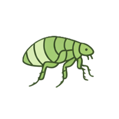 Illustration of a green flea.