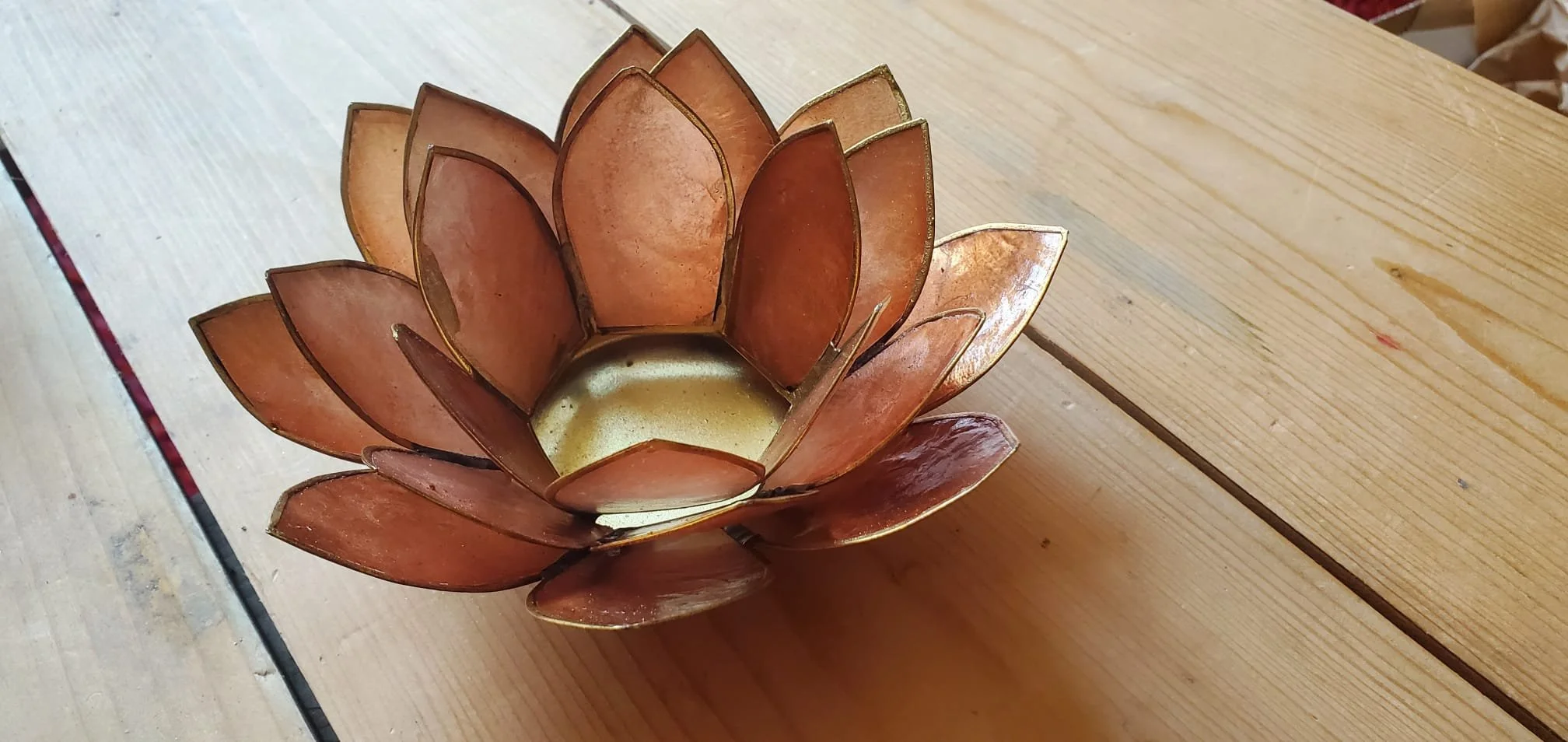 Lotus rose cuivrée-2.jpeg