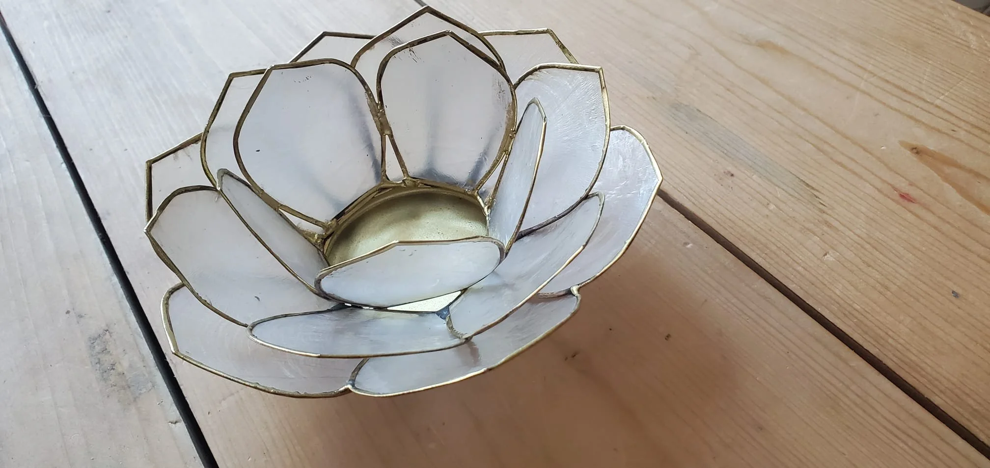 Lotus rose blanc-1.jpeg