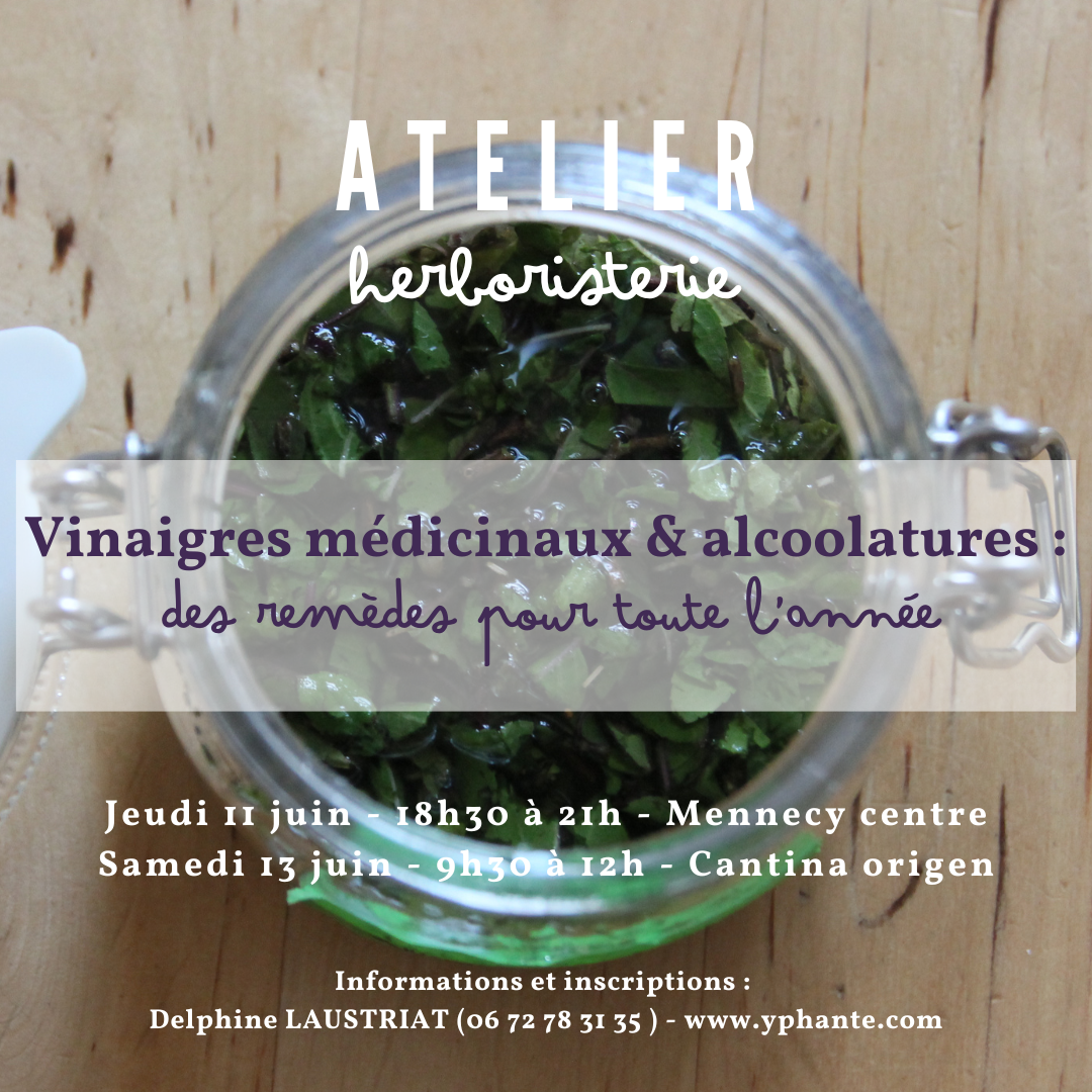 Affiche atelier herboristerie Yphanté – vinaigres médicinaux et alcoolatures, remèdes toute l'année