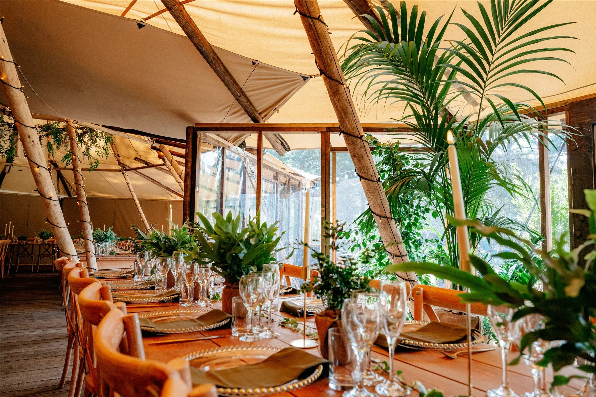 A decorated indoor dining area with a long wooden table set with glassware, plates, and green plants as centerpieces. The ceiling is made of beige fabric supported by wooden poles, and there are large green plants along the edges, with sunlight strea