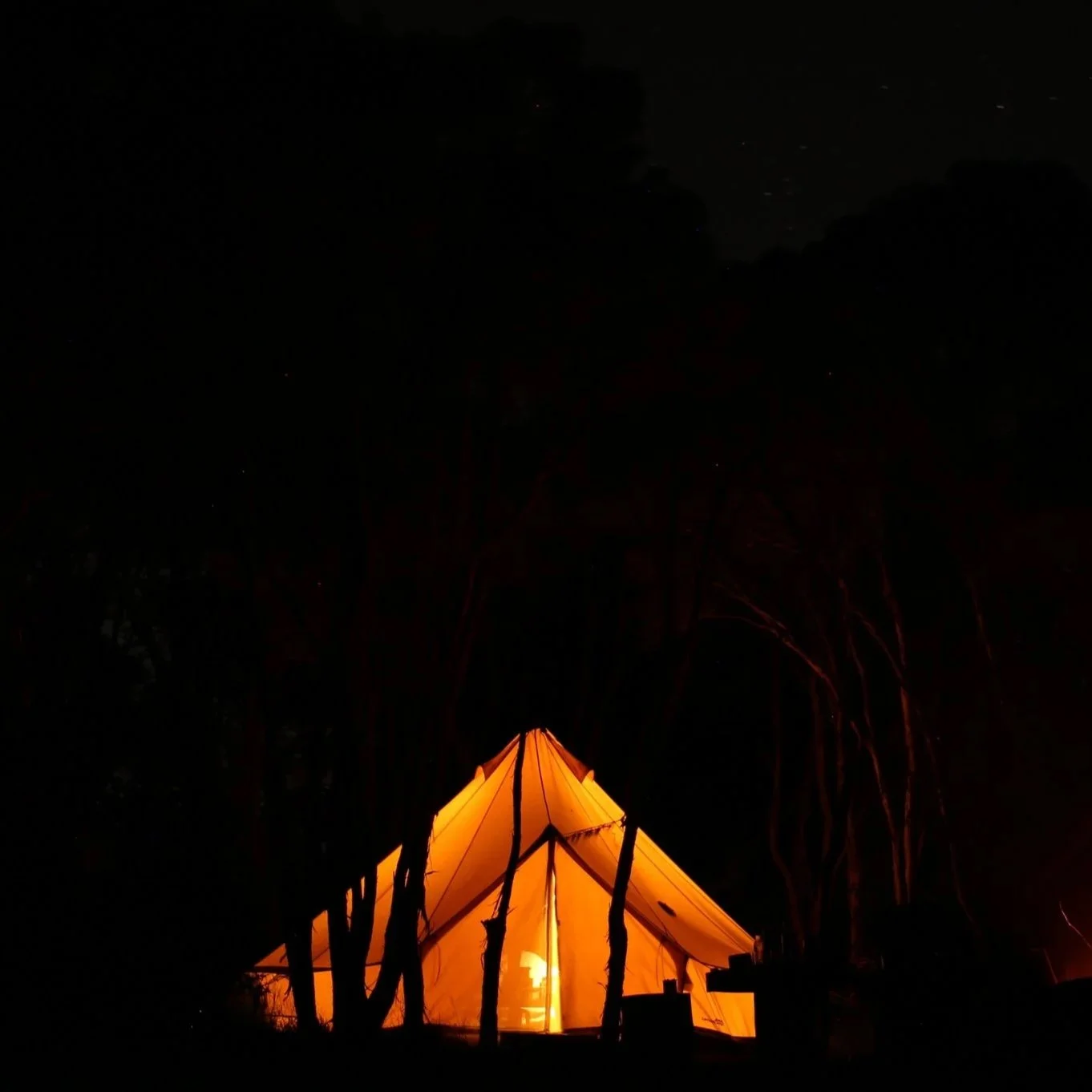 A brightly lit orange tent glowing in the dark, surrounded by trees at night.