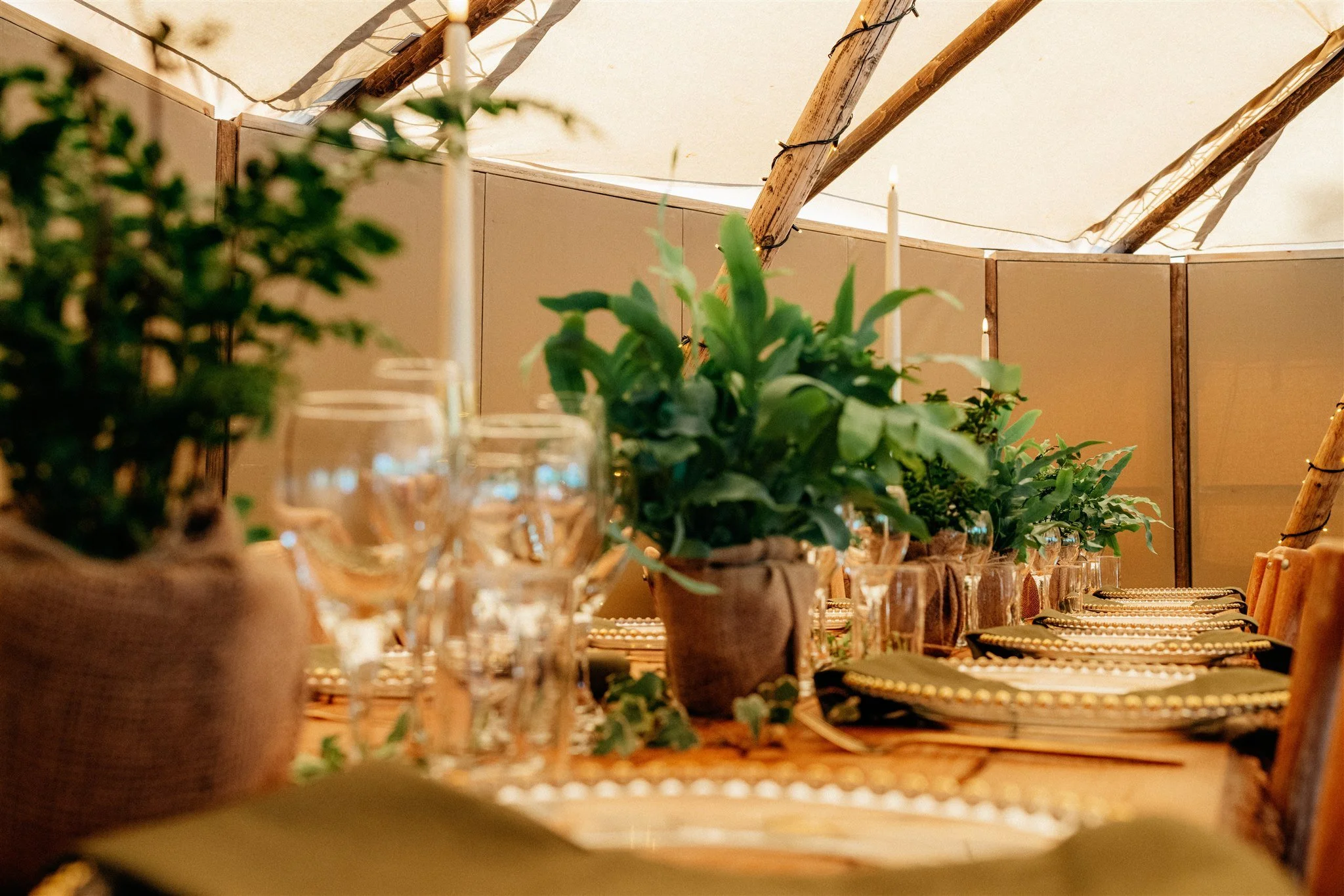 Decorative indoor dining table setting with lush green potted plants, glassware, and candles under a tent-like ceiling with wooden beams and string lights.