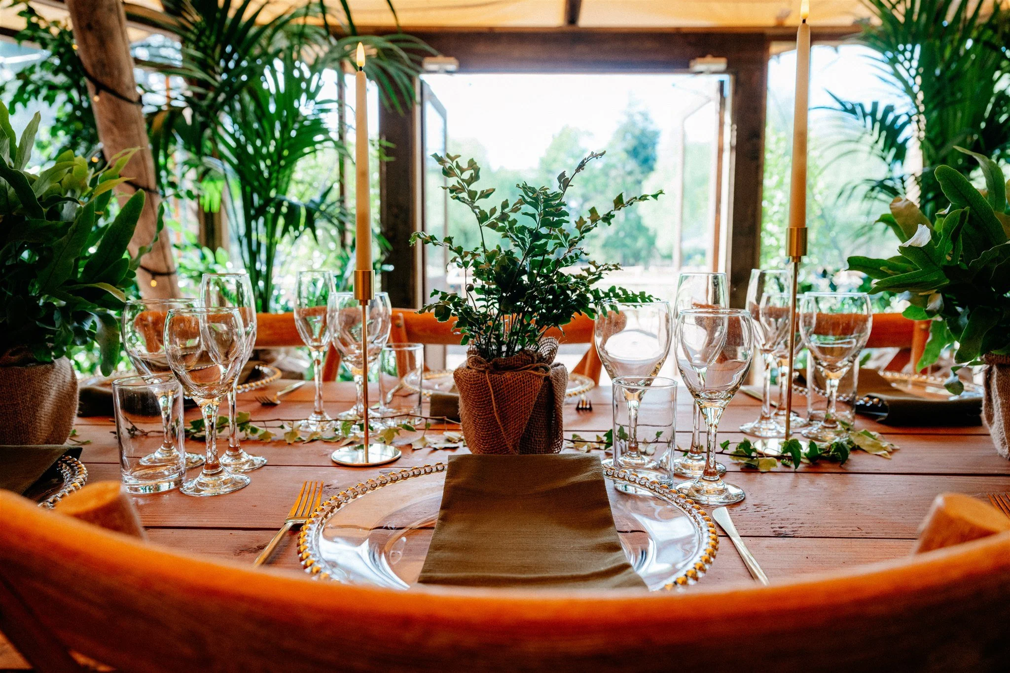 A decorated dining table set with glassware, plates, utensils, and a centerpiece of green plants. The background features a large window and lush greenery outside.