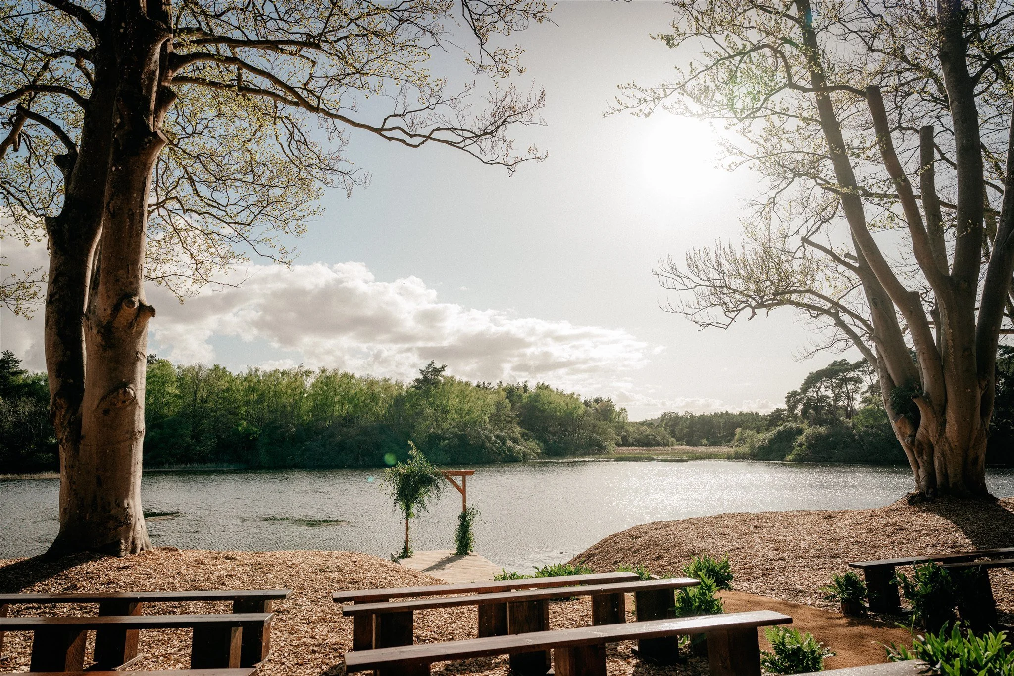 A peaceful lake scene with two large trees on the shore, a wooden pier extending into the water, and lush green trees across the lake under a bright sky with some clouds.
