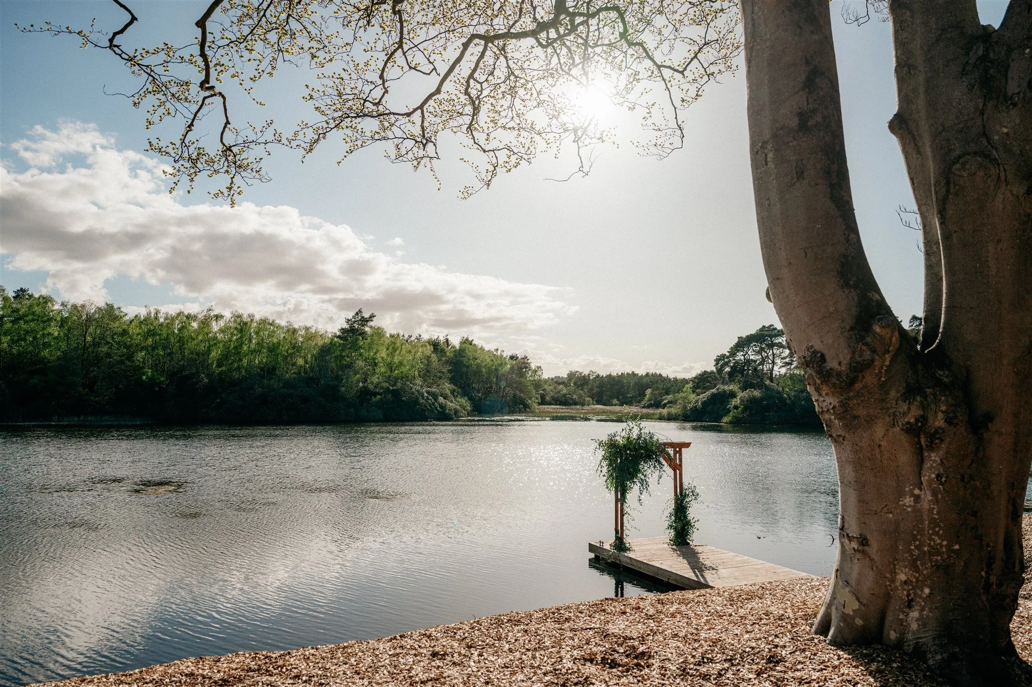 A peaceful lakeside scene with a large tree in the foreground, a small dock extending into the water, and lush green trees on the opposite shore under a partly cloudy sky with the sun shining.