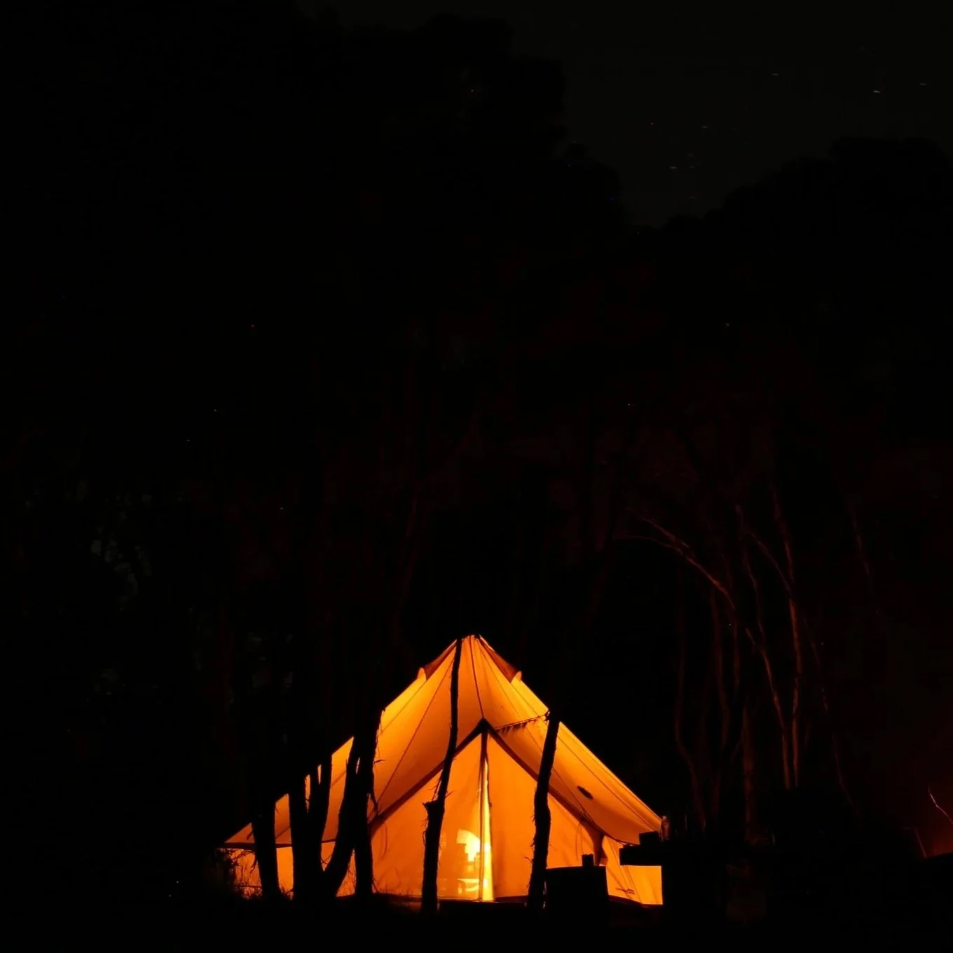 A glowing tent illuminated from within at night surrounded by dark trees under a starry sky.