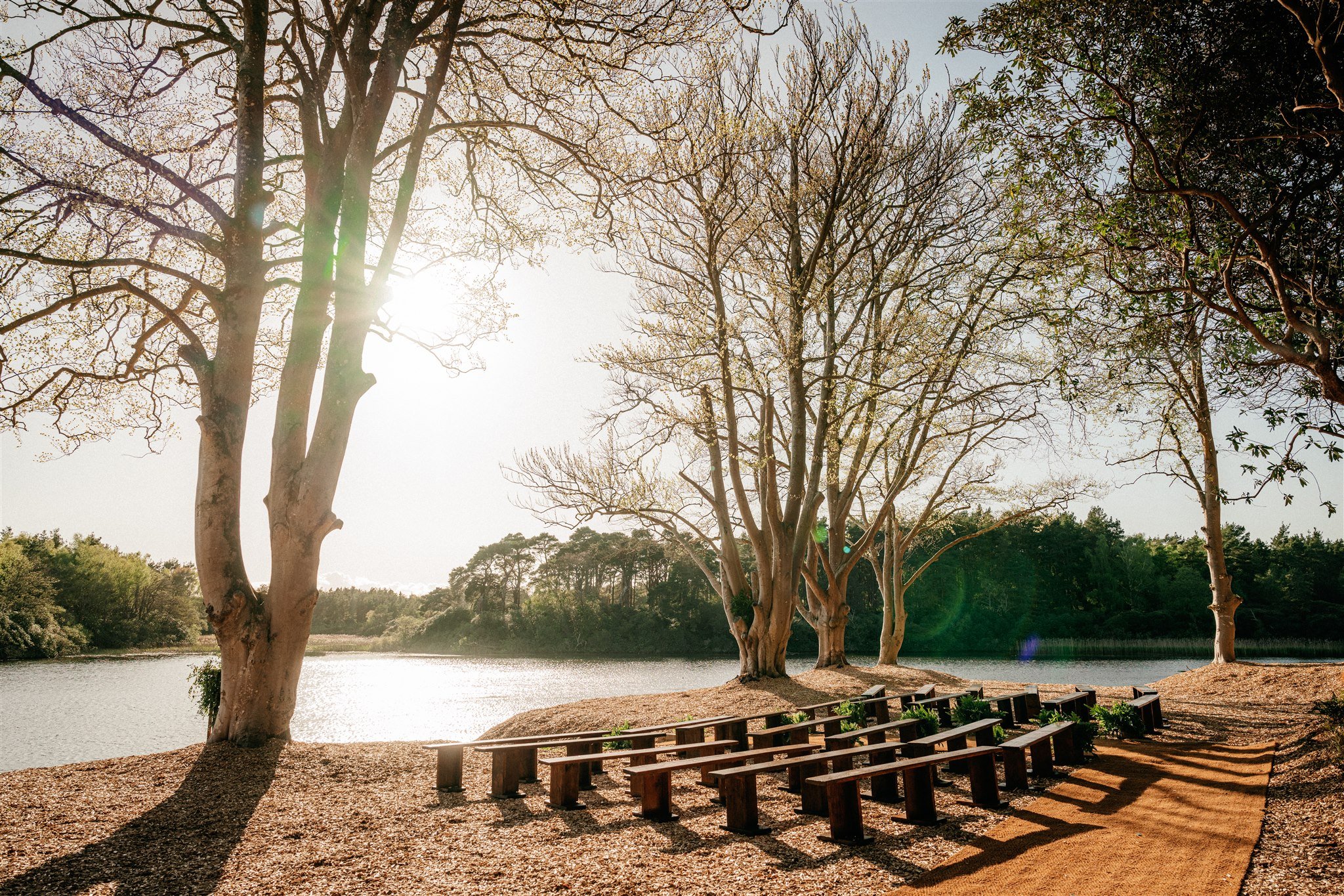 Trees near a body of water with sunlight shining through branches, and a wooden bench along the shoreline.