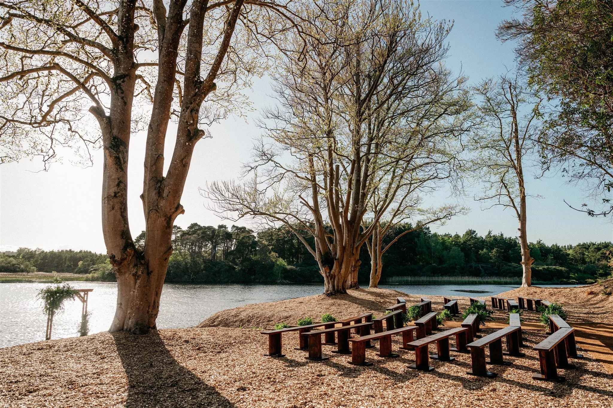 Trees along a lake with a bench and wooden chairs facing the water, under a clear blue sky.