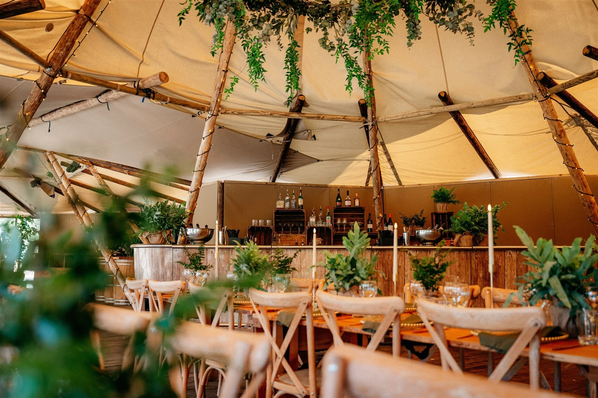 Inside a rustic restaurant with wooden tables and chairs, decorated with green plants hanging from the ceiling and fairy lights, creating a cozy ambiance.