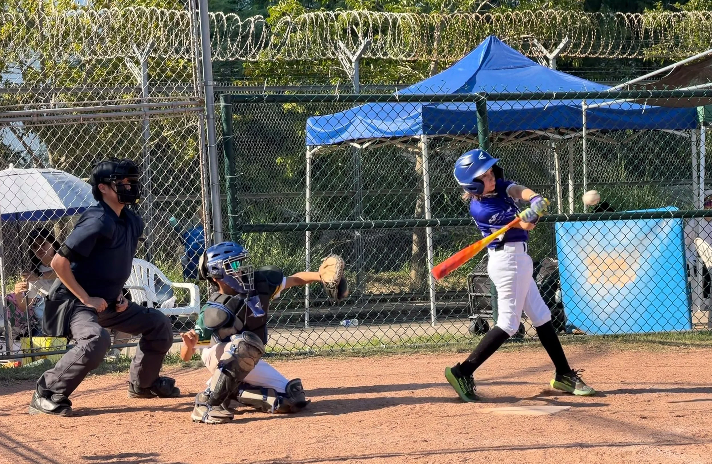 Minors Eagles vs. Honey Badgers