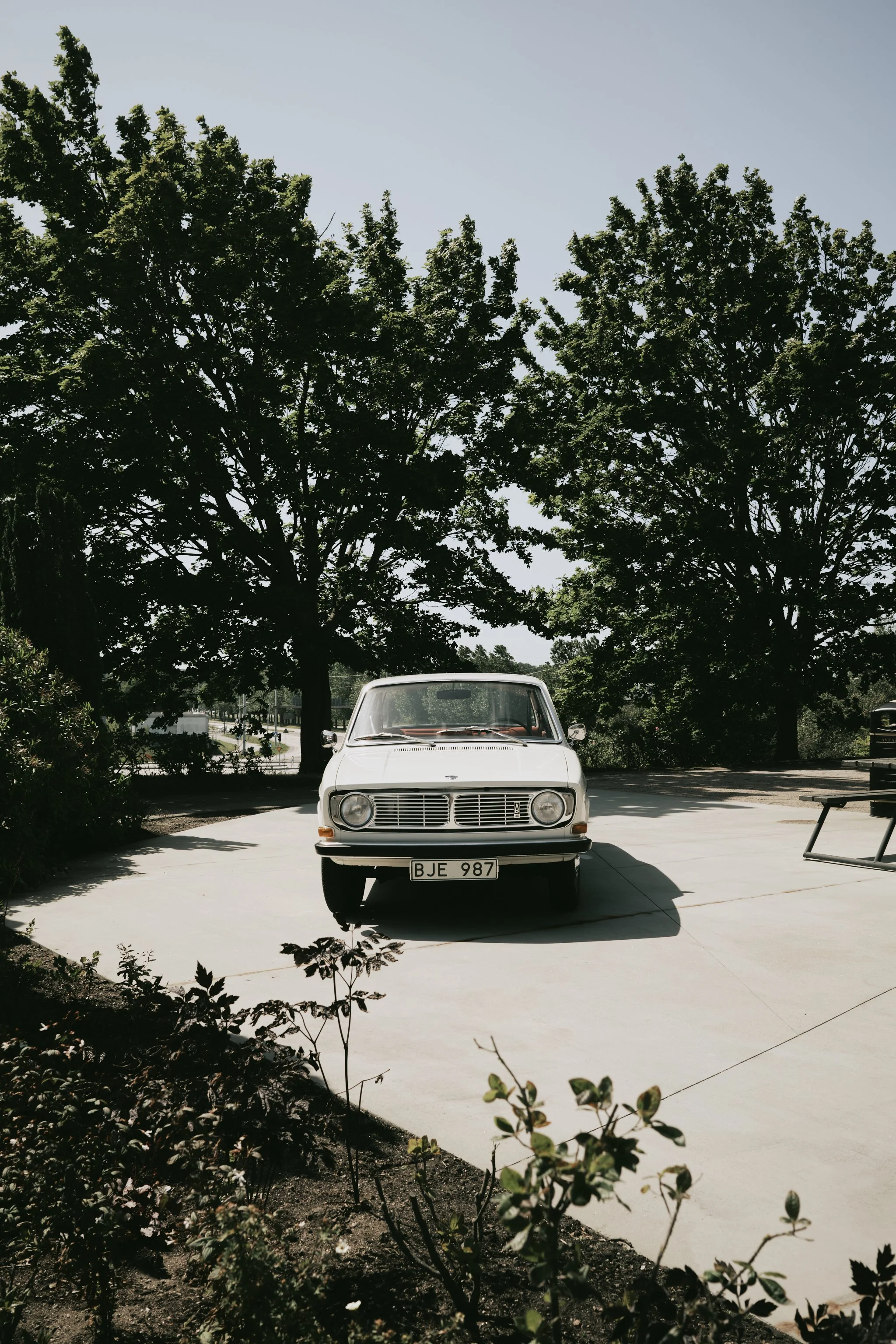 A white vintage car parked on a concrete driveway beneath two large leafy green trees, with a clear blue sky overhead.