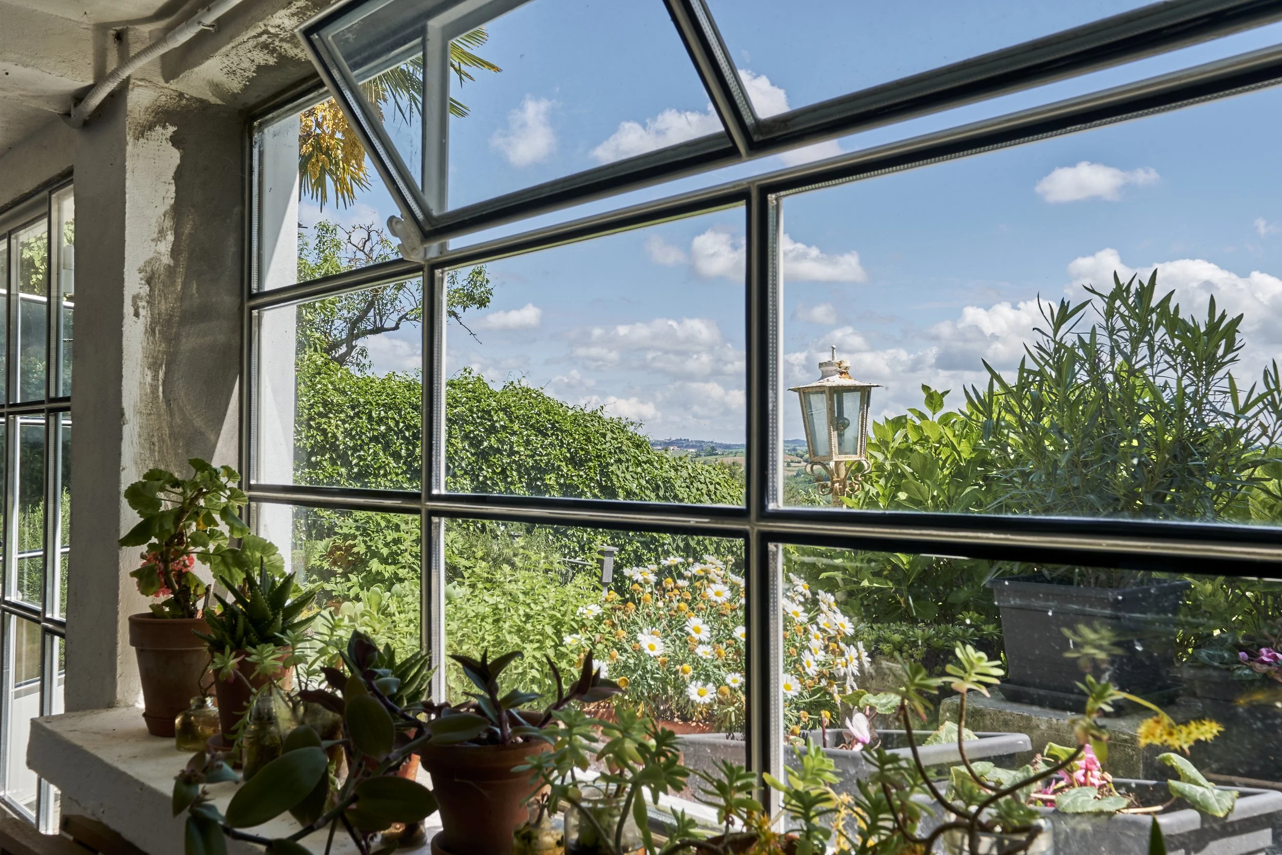 View through a window showing a garden with potted plants, daisies, green bushes, and a lamp, under a bright blue sky with clouds.