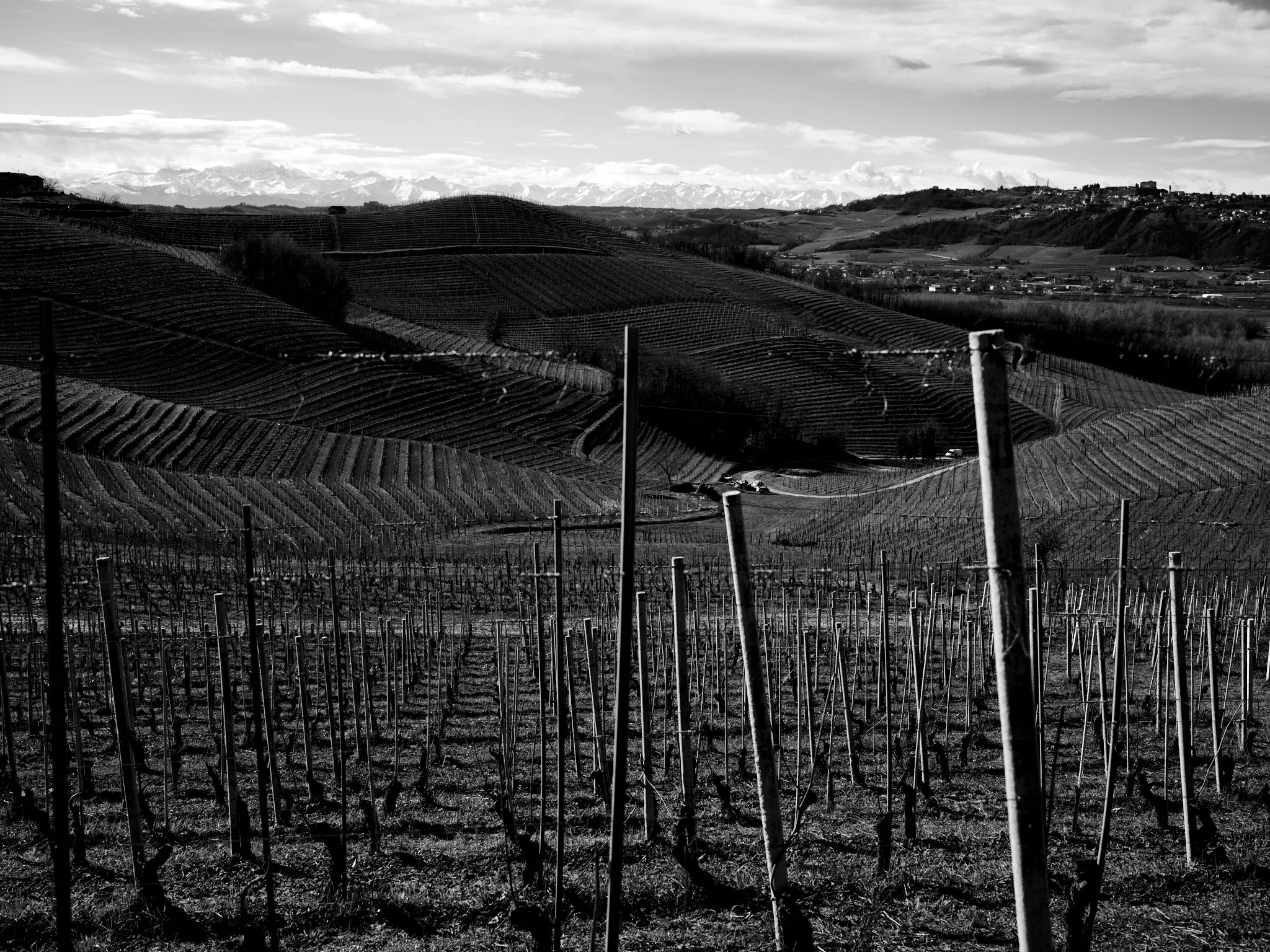 In black and white, I see all the colors of my land.