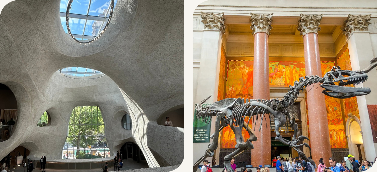 American Museum of Natural History