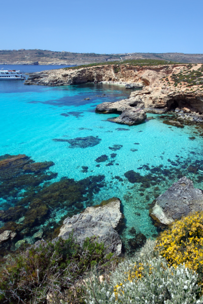 Blue lagoon2.png