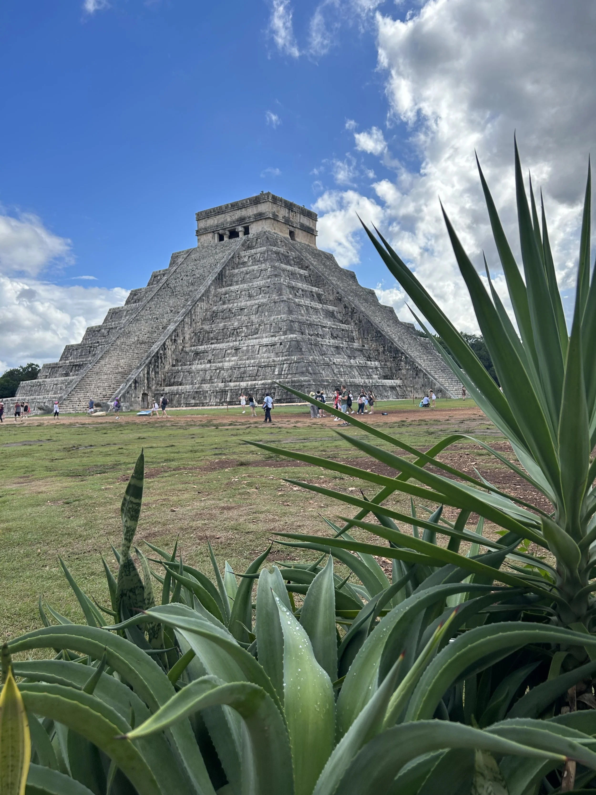 IMG_5446.jpeg