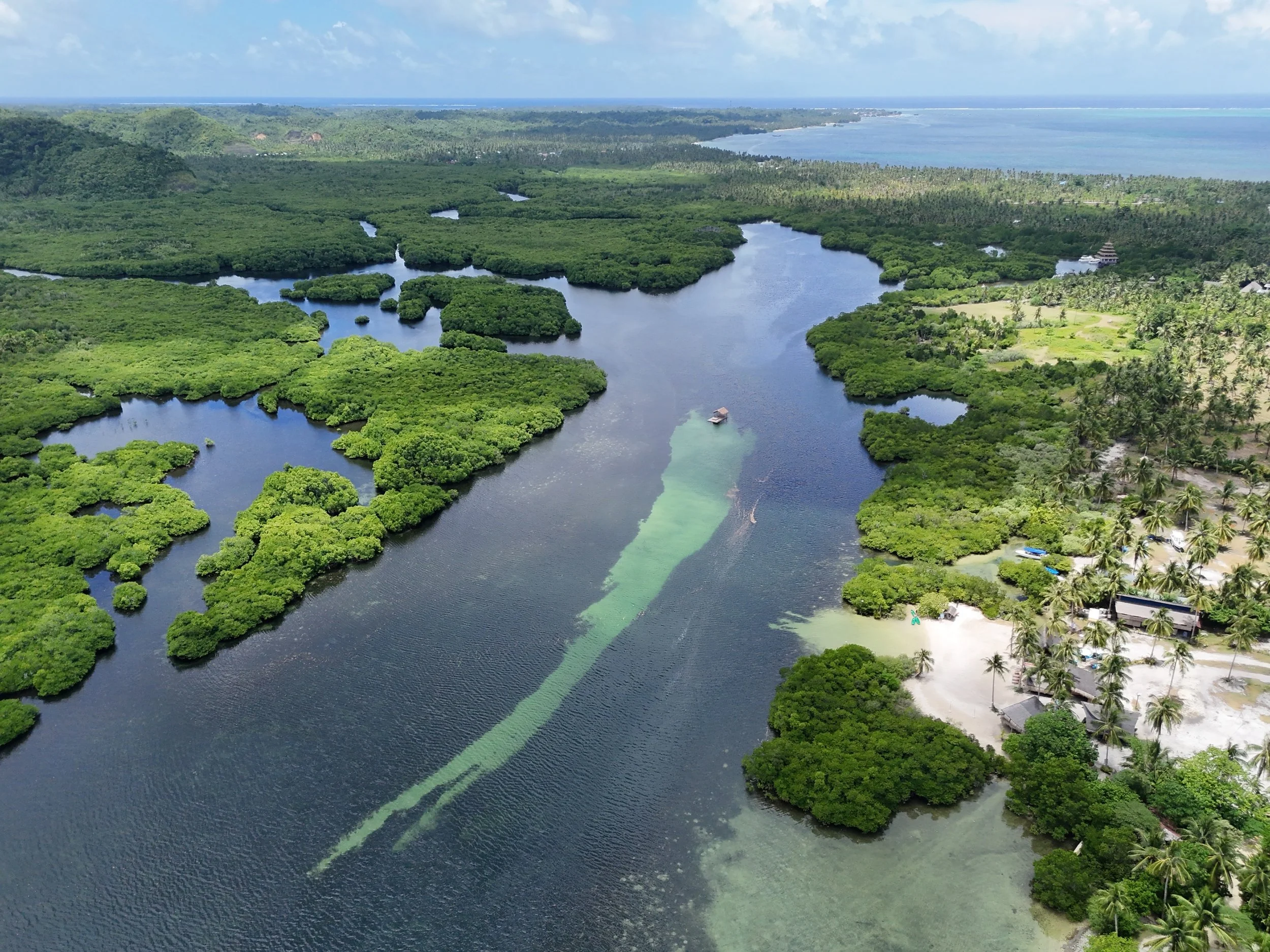 dji_fly_20260425_115844_0289_1777125283764_photo_beautify.jpg